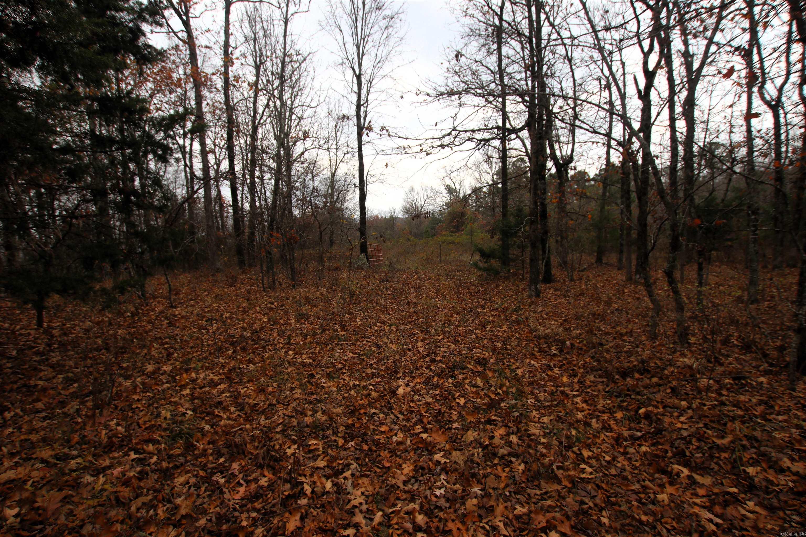 000  65  Clinton, AR