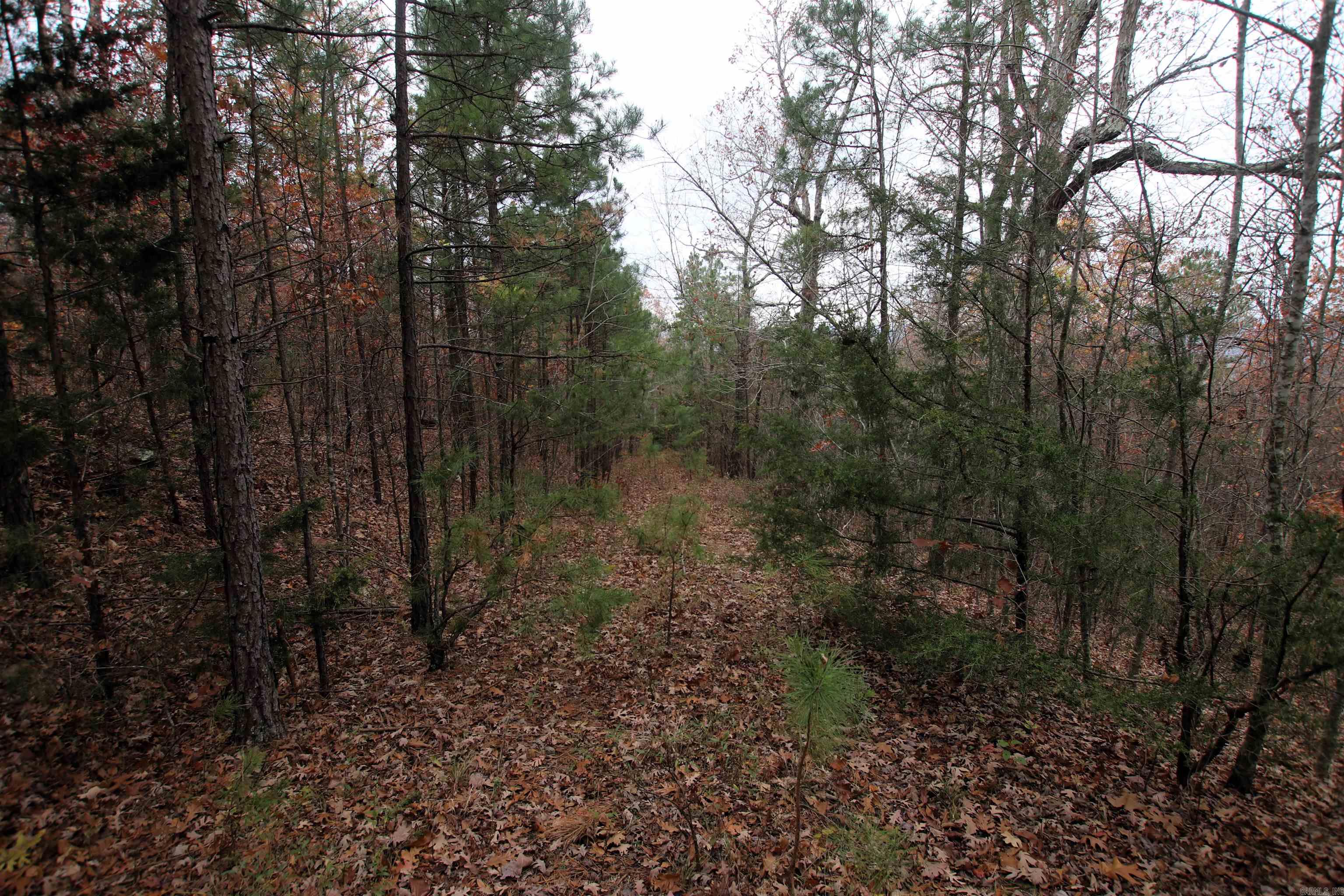 000  65  Clinton, AR