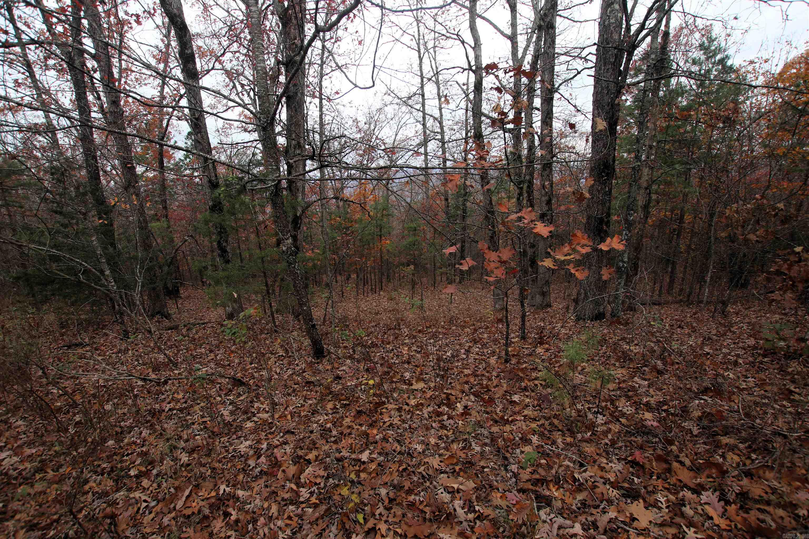 000  65  Clinton, AR