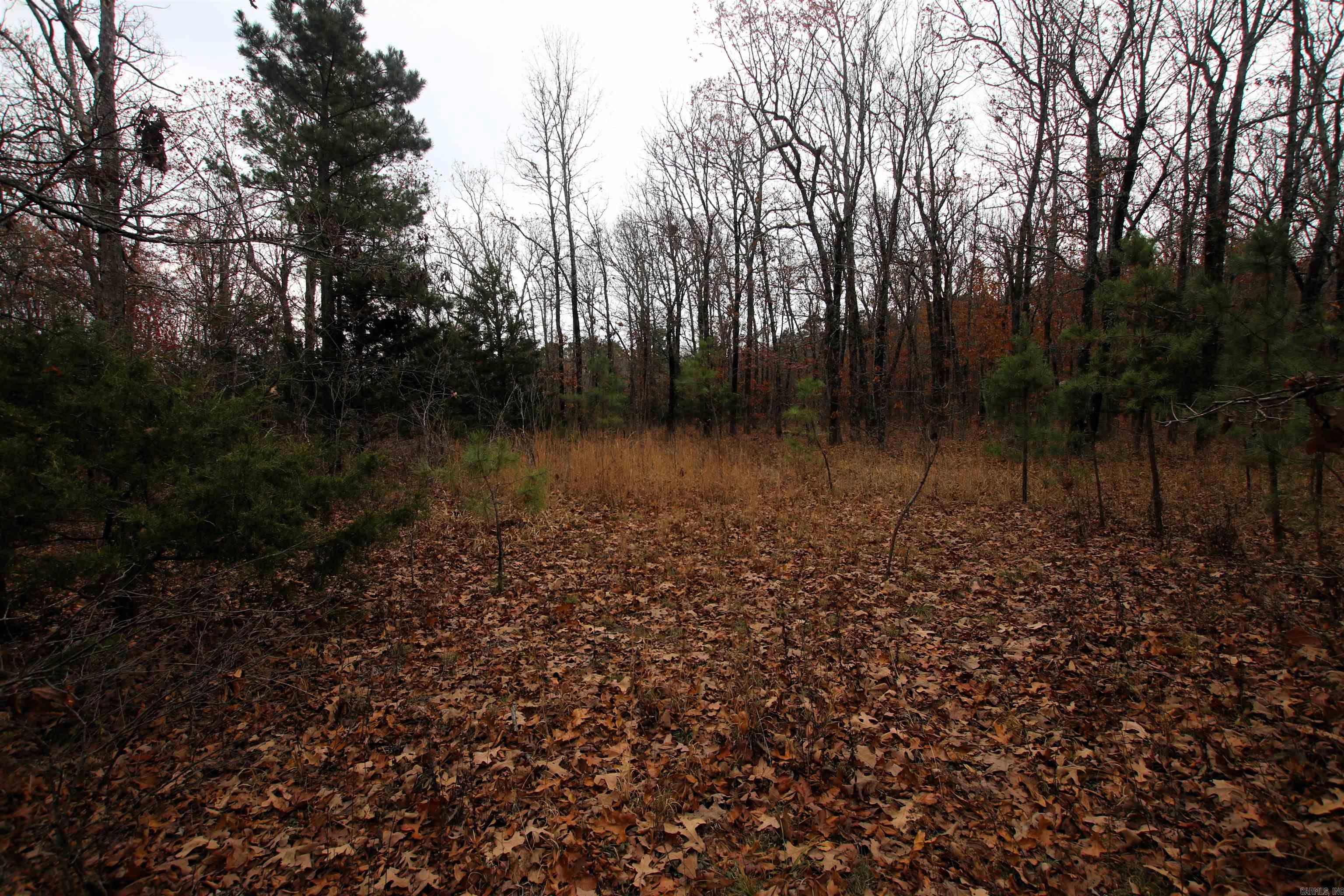000  65  Clinton, AR