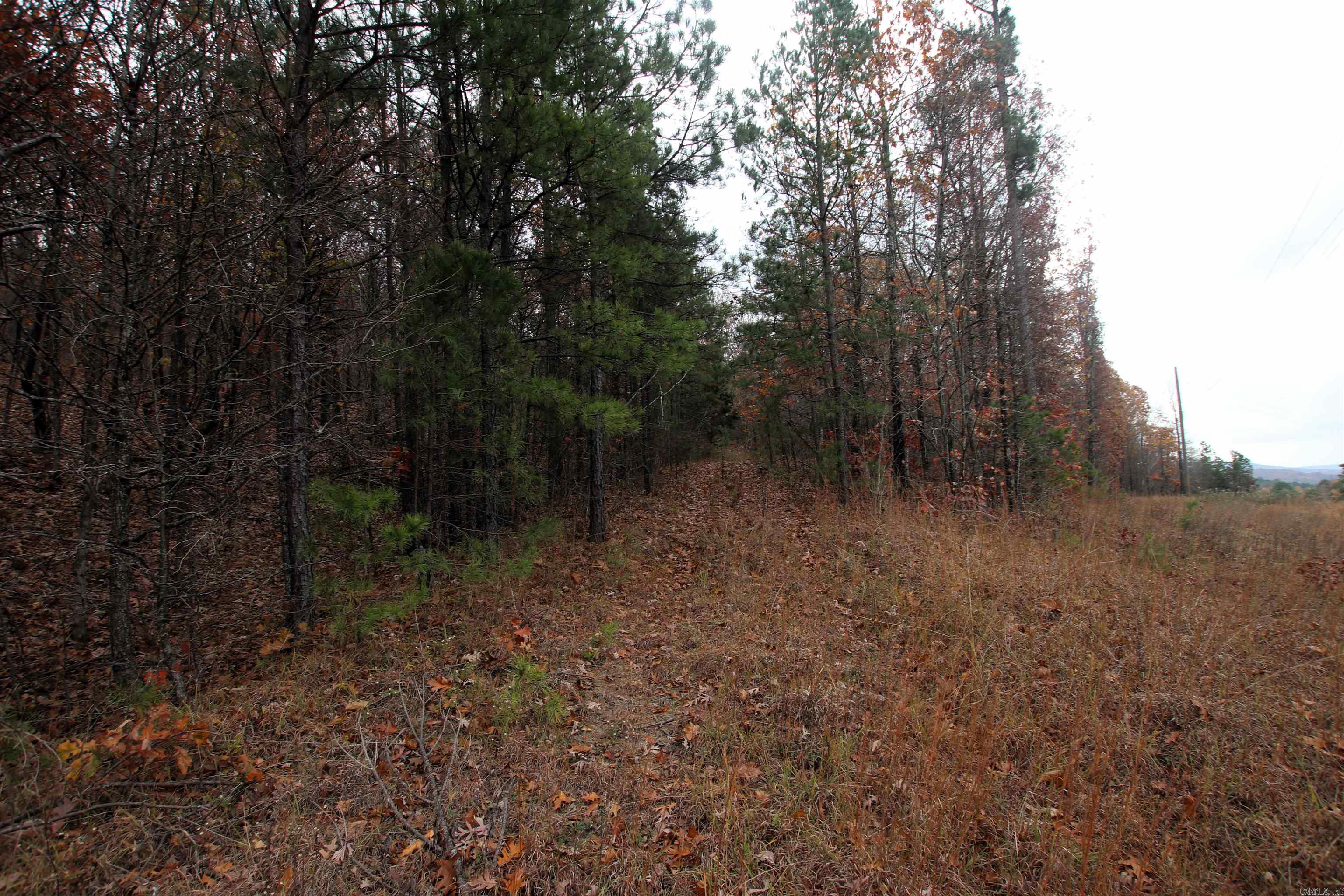 000  65  Clinton, AR