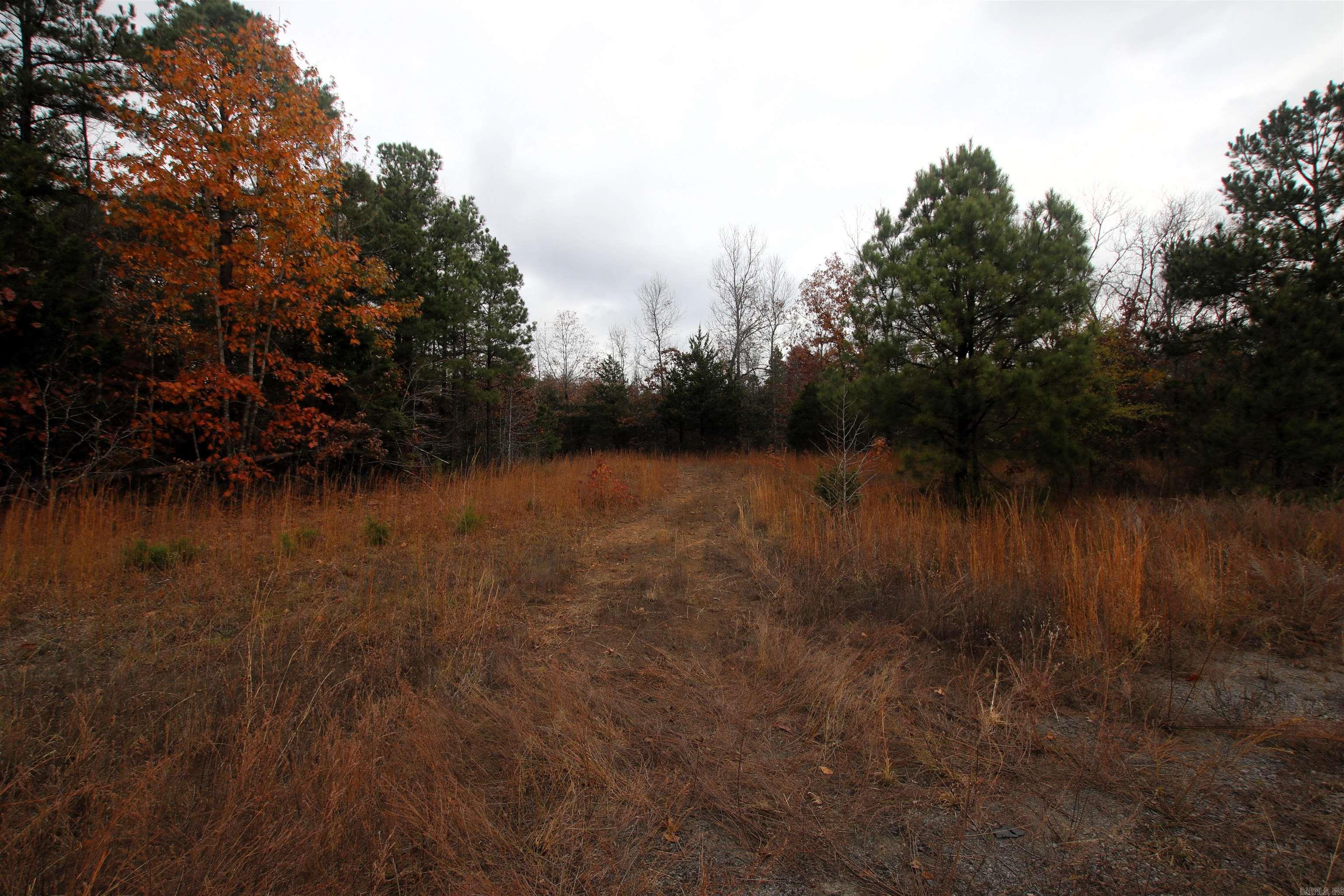 000  Morris Mountain  Center Ridge, AR