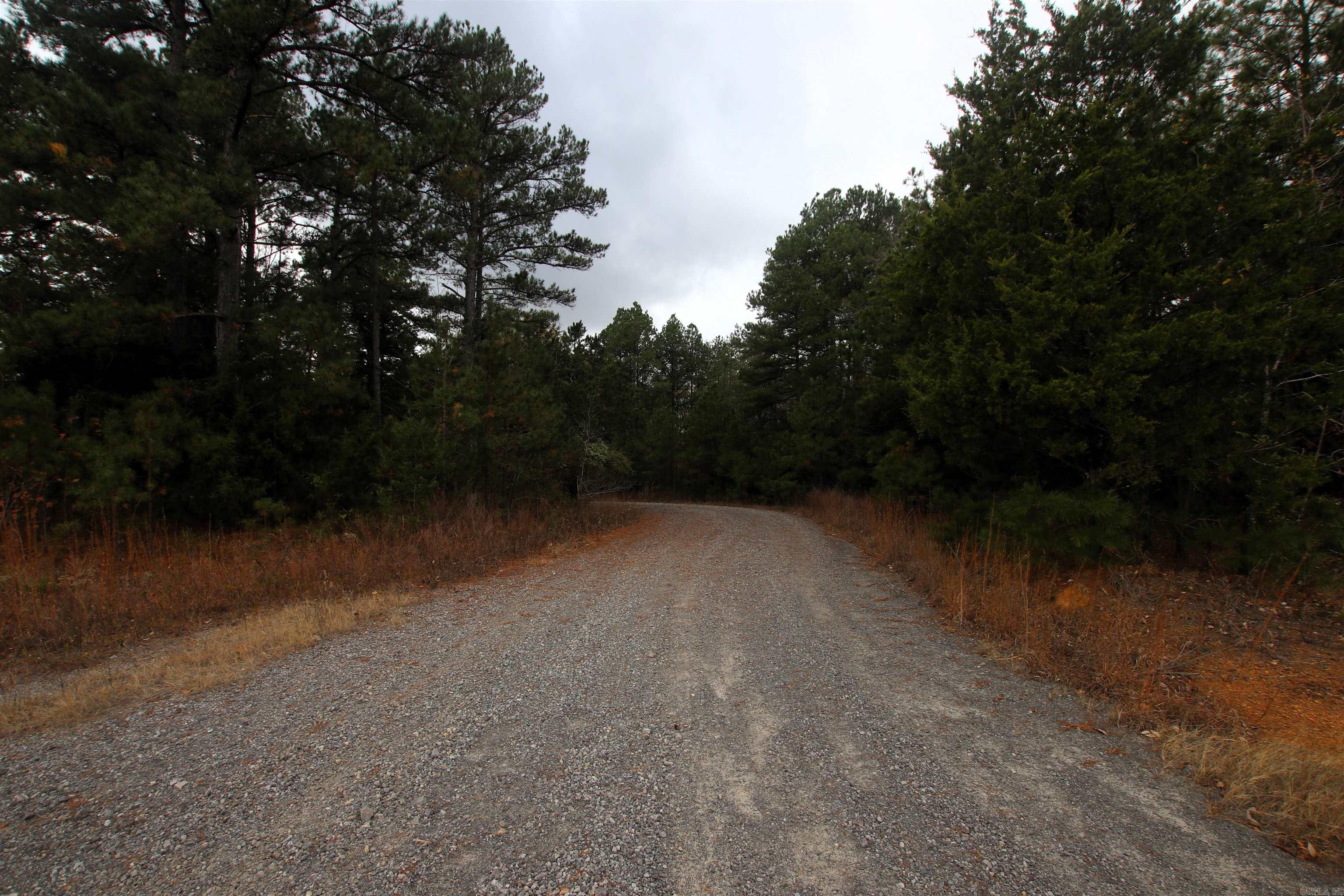 000  Morris Mountain  Center Ridge, AR