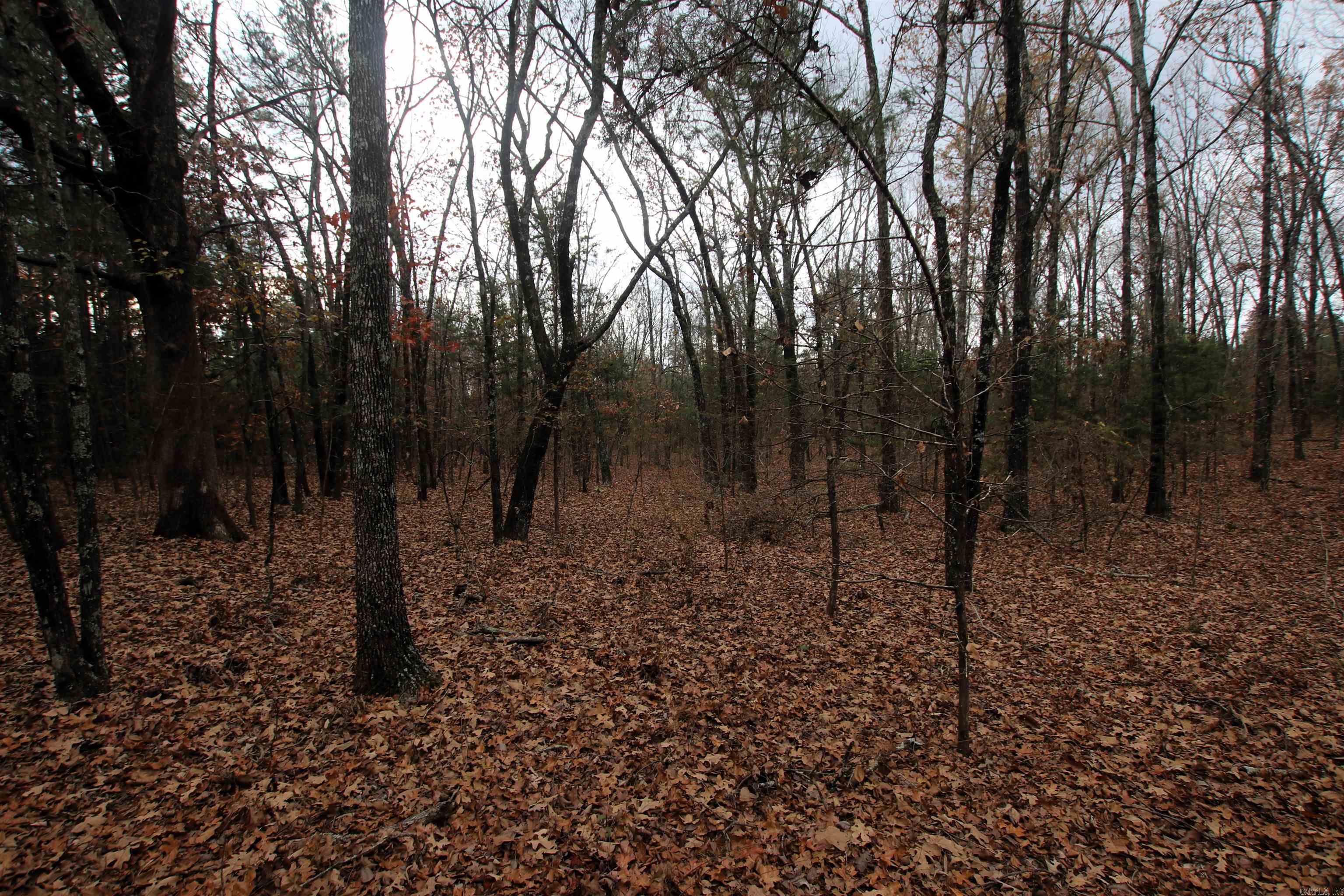000  Morris Mountain  Center Ridge, AR