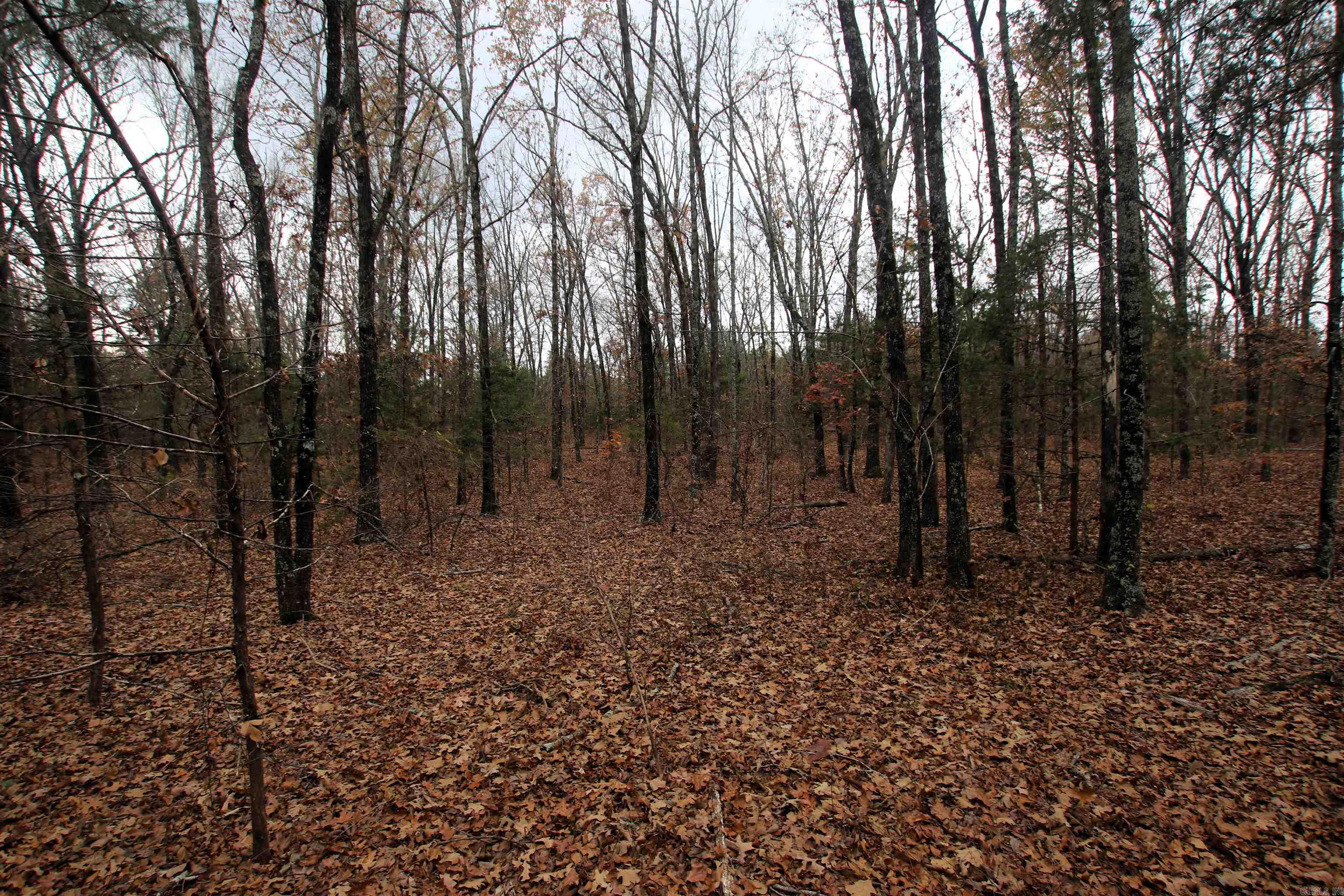 000  Morris Mountain  Center Ridge, AR