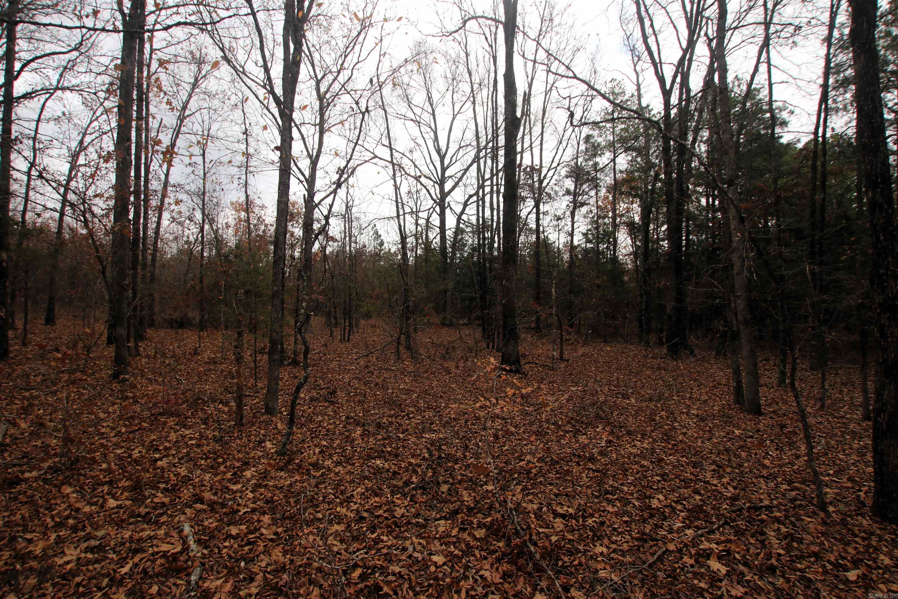 000  Morris Mountain  Center Ridge, AR