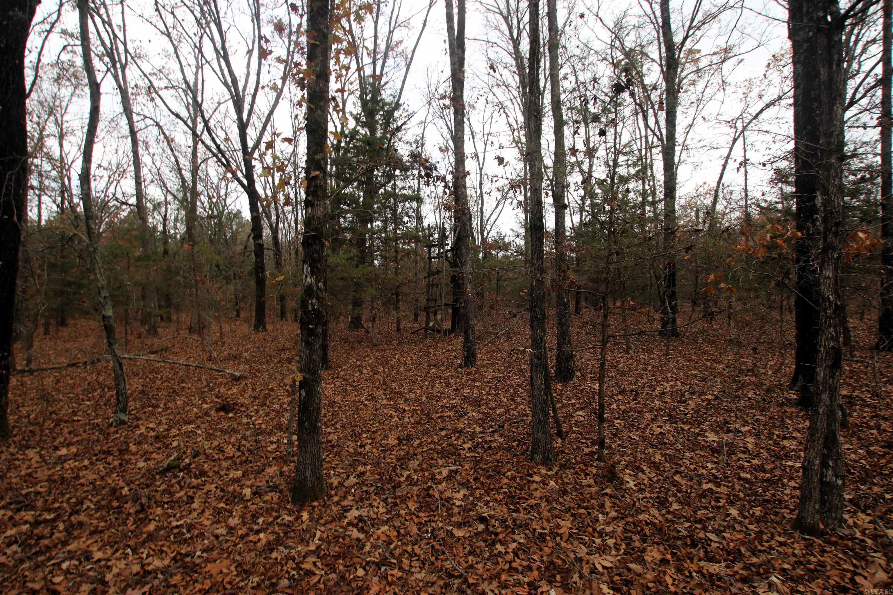 000  Morris Mountain  Center Ridge, AR