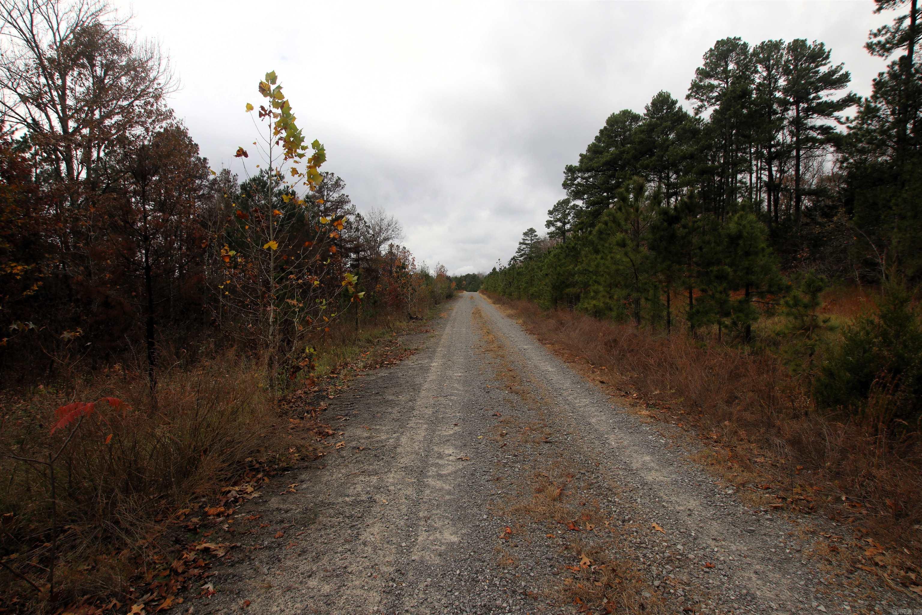 000  Morris Mountain  Center Ridge, AR