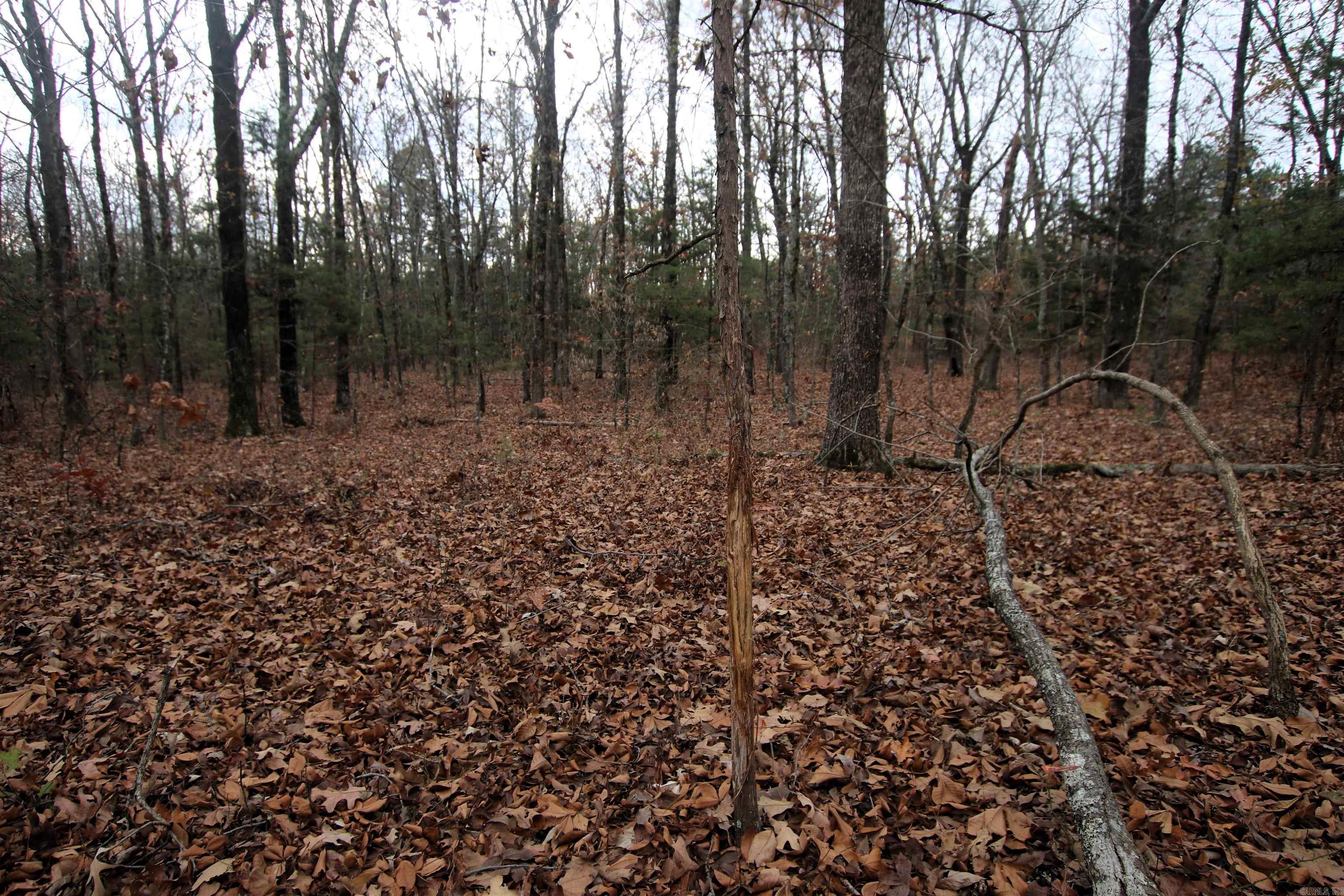 000  Morris Mountain  Center Ridge, AR