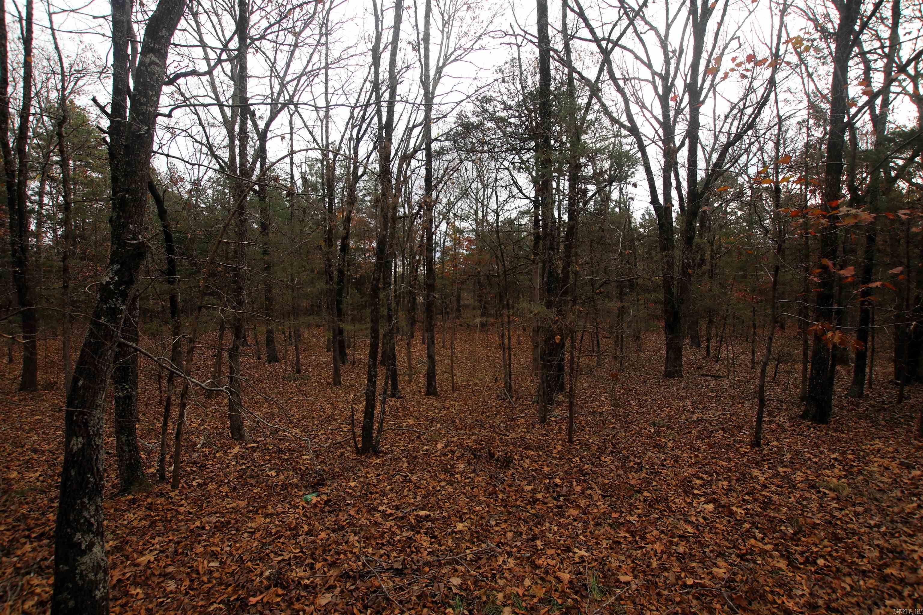 000  Morris Mountain  Center Ridge, AR