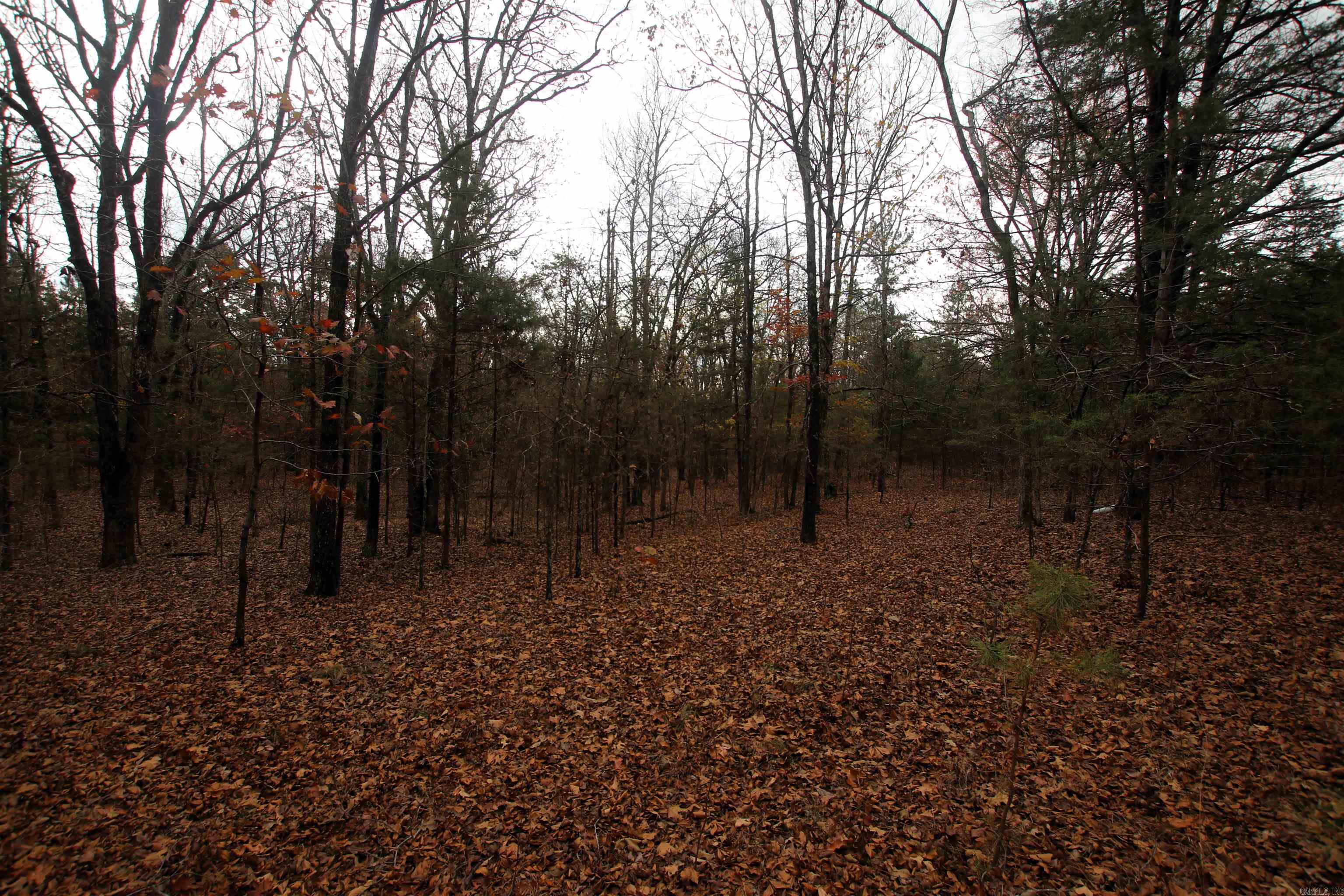 000  Morris Mountain  Center Ridge, AR