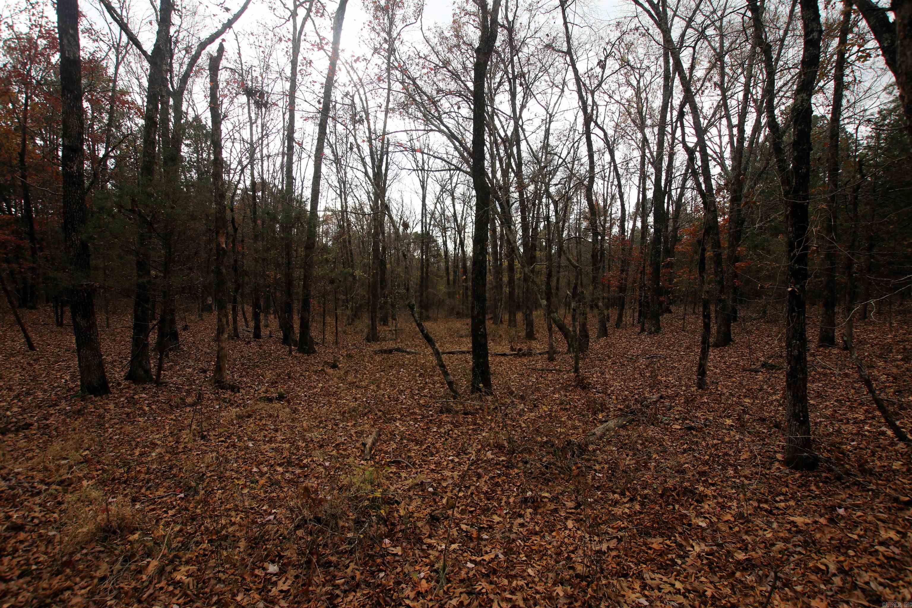 000  Morris Mountain  Center Ridge, AR