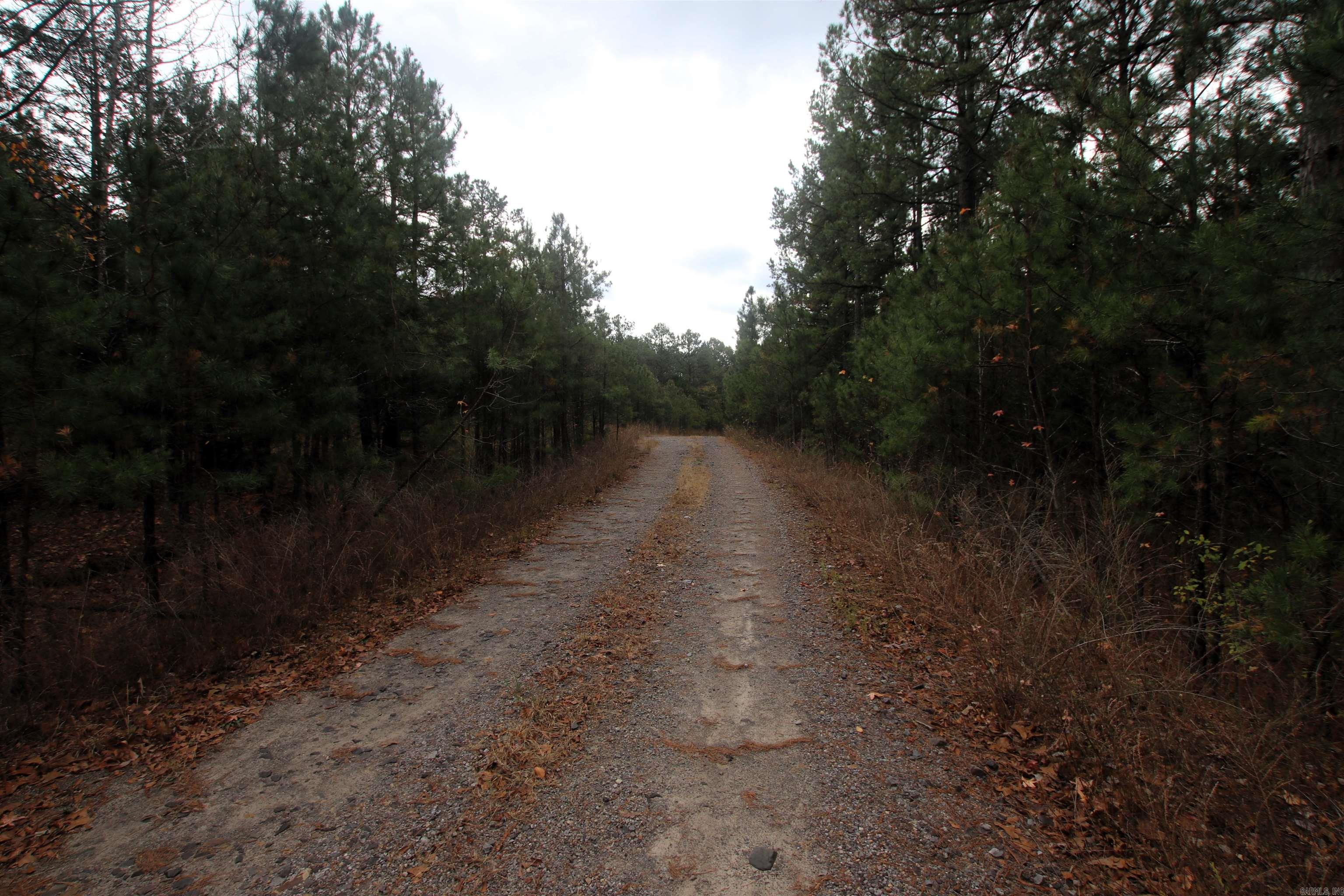 000  Morris Mountain  Center Ridge, AR
