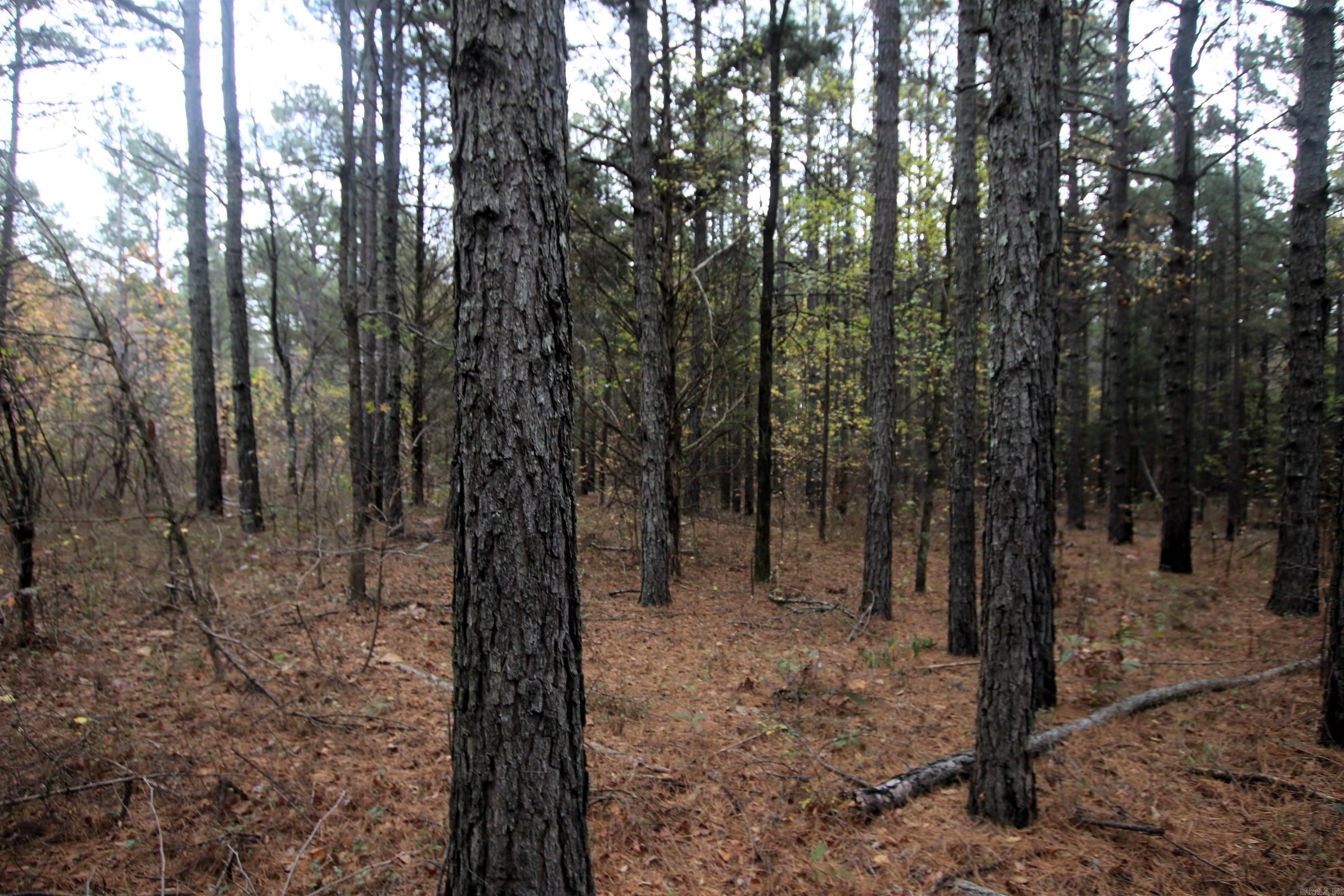 000  Morris Mountain  Center Ridge, AR