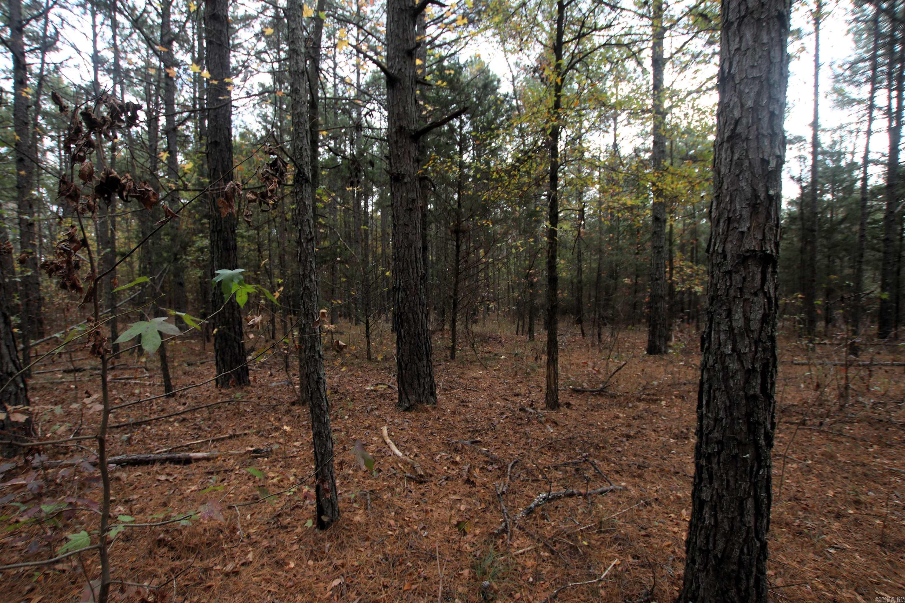000  Morris Mountain  Center Ridge, AR