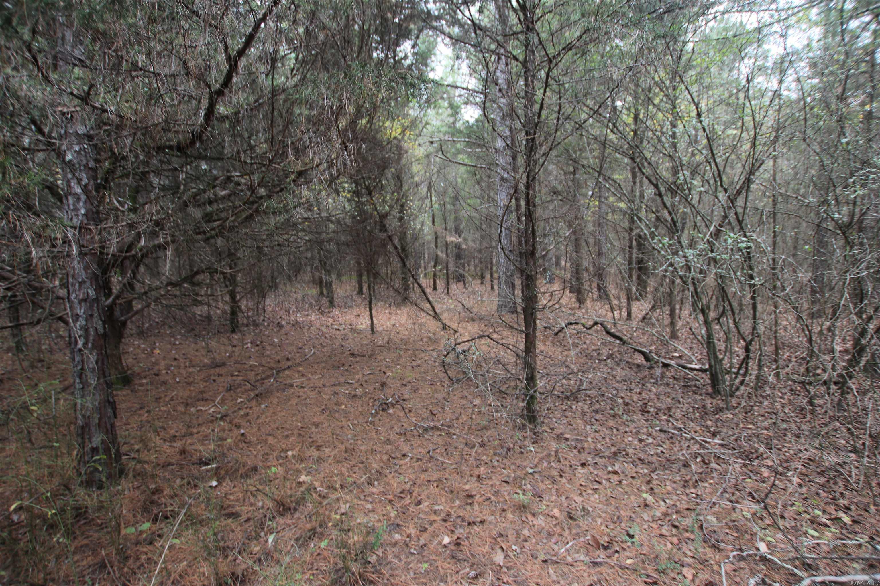000  Morris Mountain  Center Ridge, AR