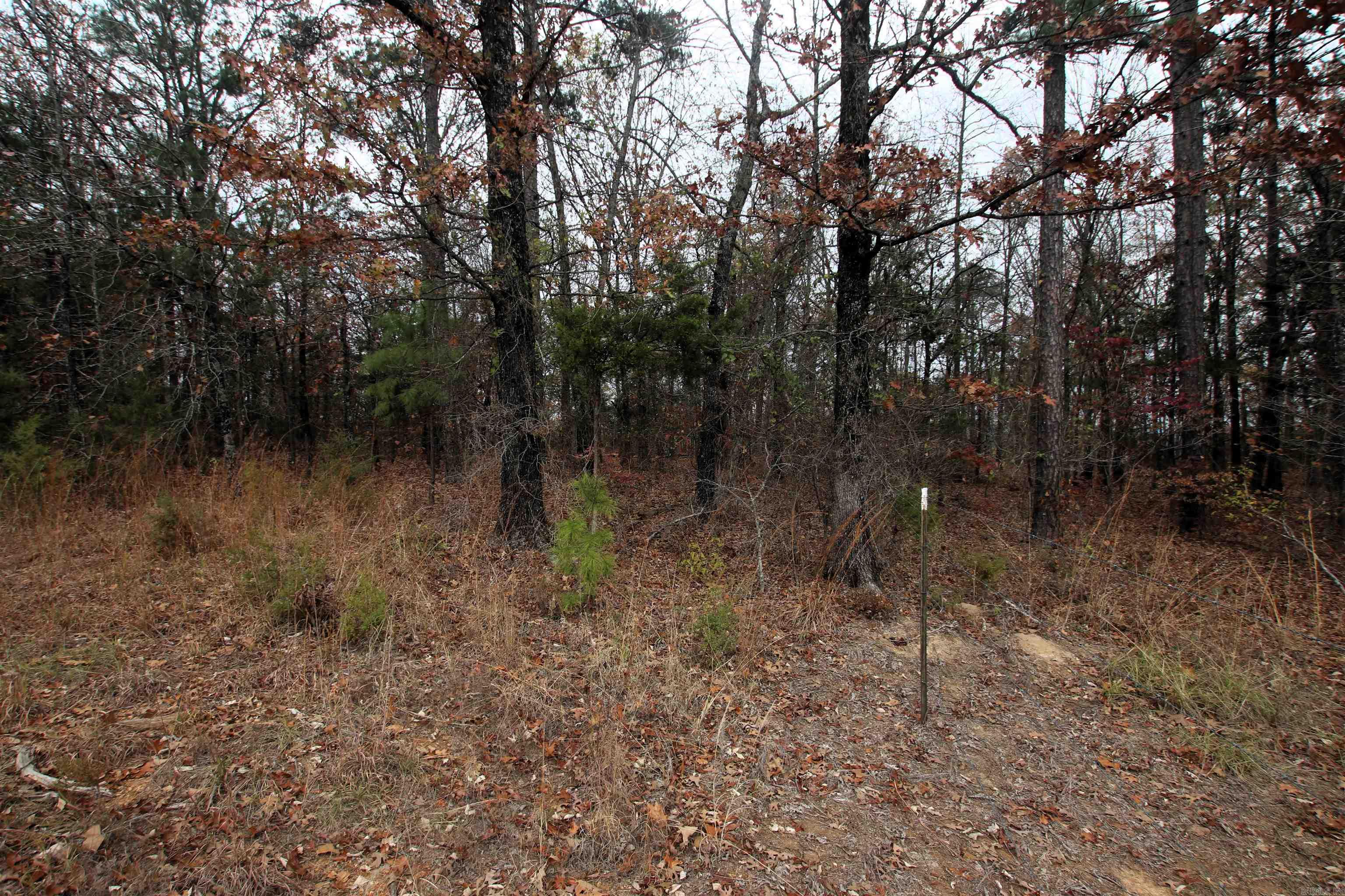 000  Morris Mountain  Center Ridge, AR