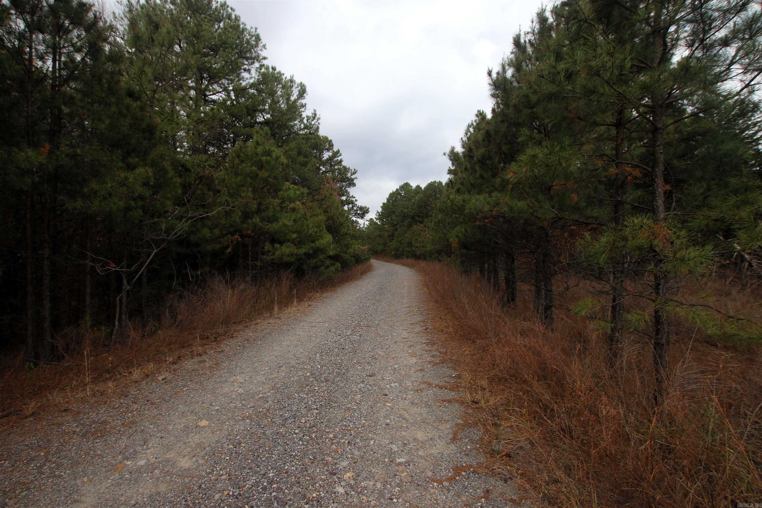 000  Morris Mountain  Center Ridge, AR