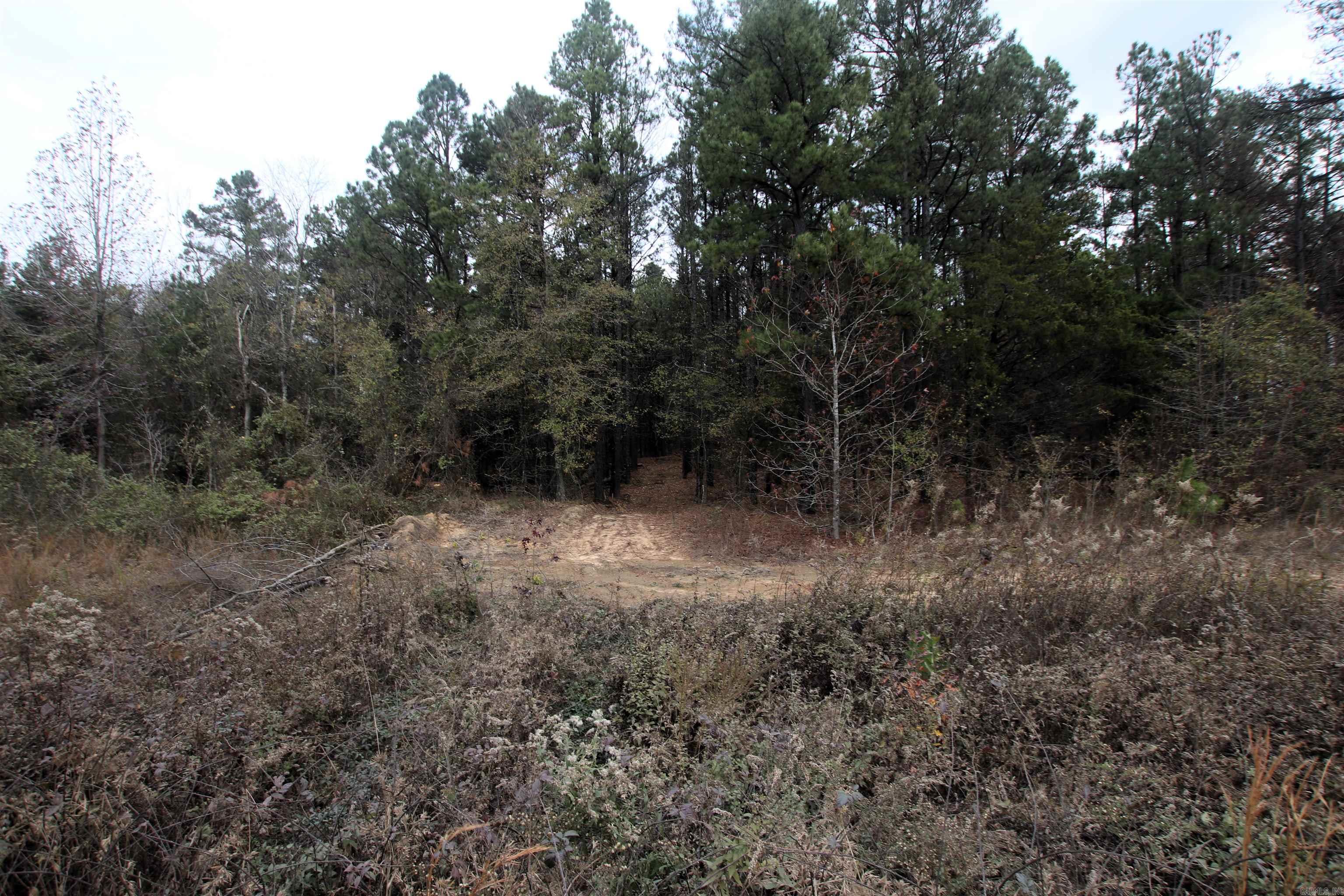 000  Morris Mountain  Center Ridge, AR