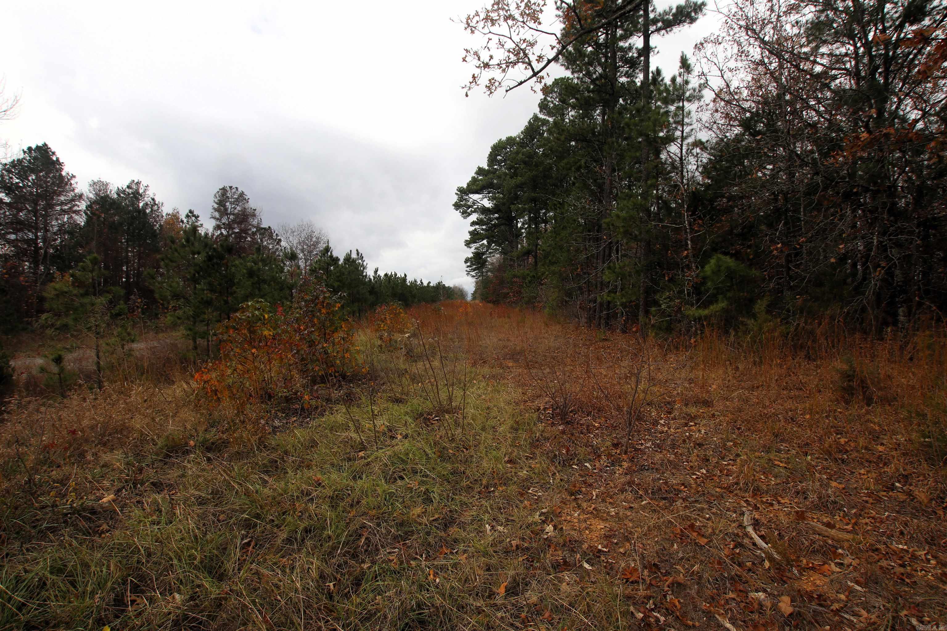 000  Morris Mountain  Center Ridge, AR