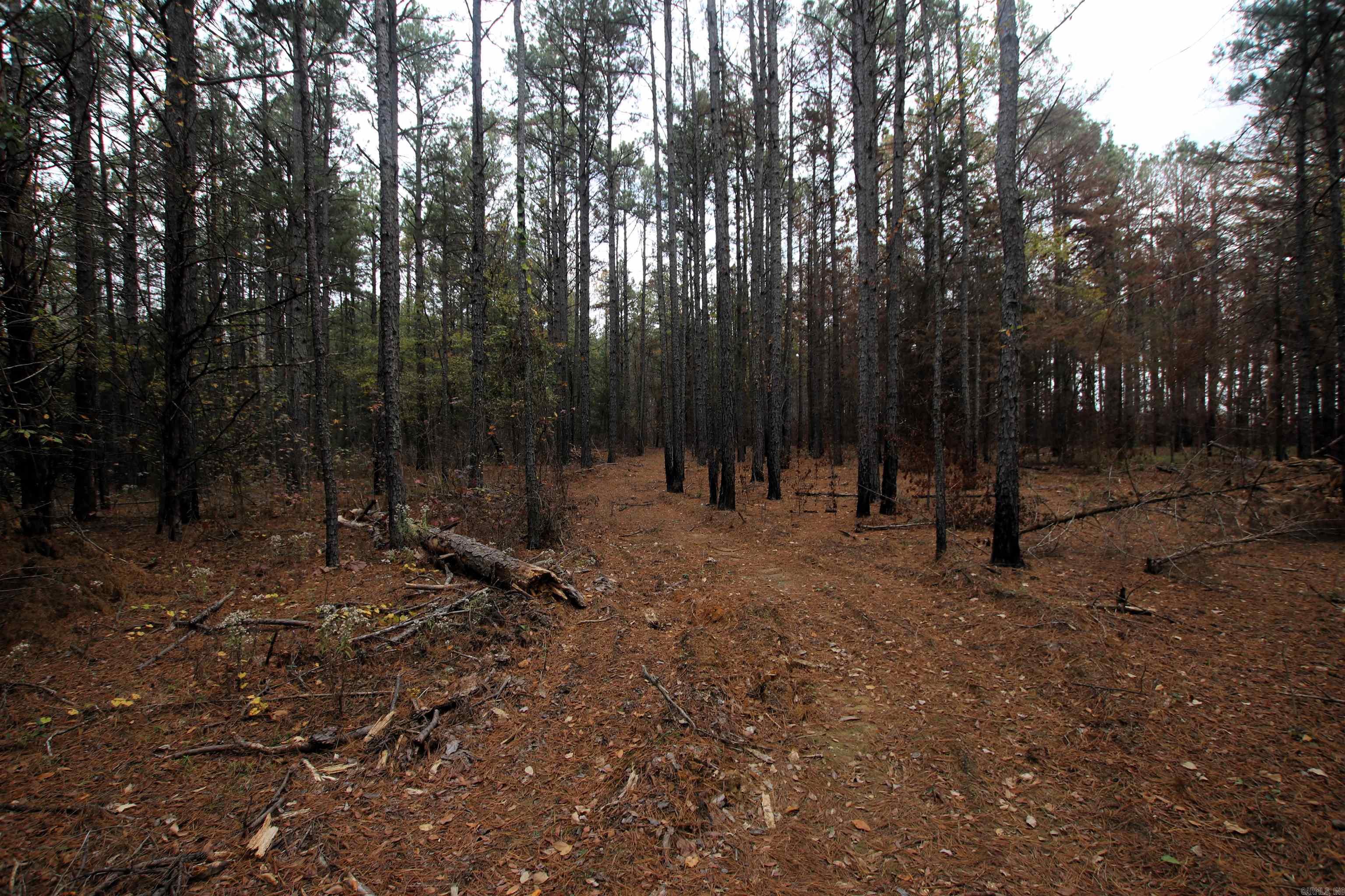 000  Morris Mountain  Center Ridge, AR