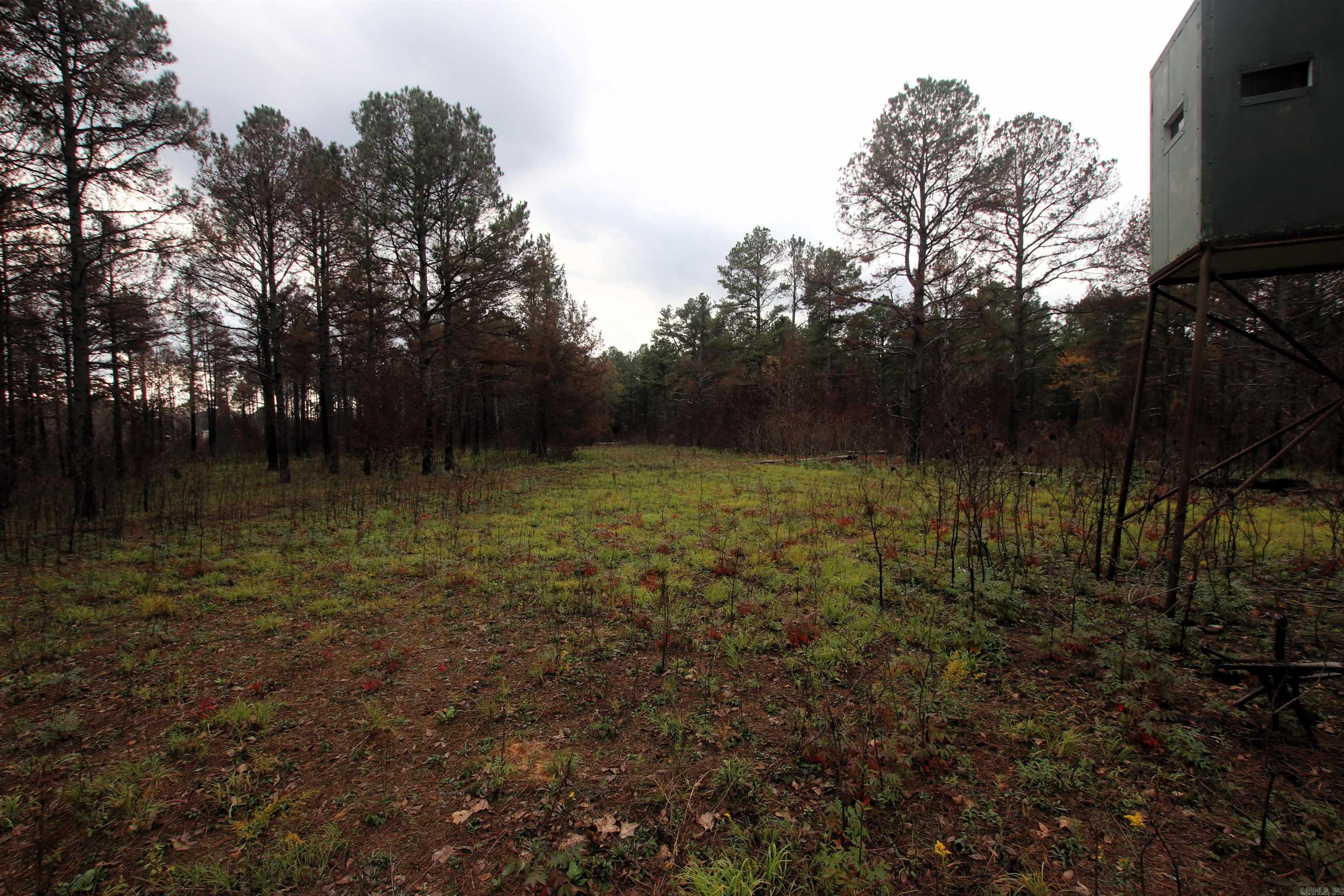 000  Morris Mountain  Center Ridge, AR