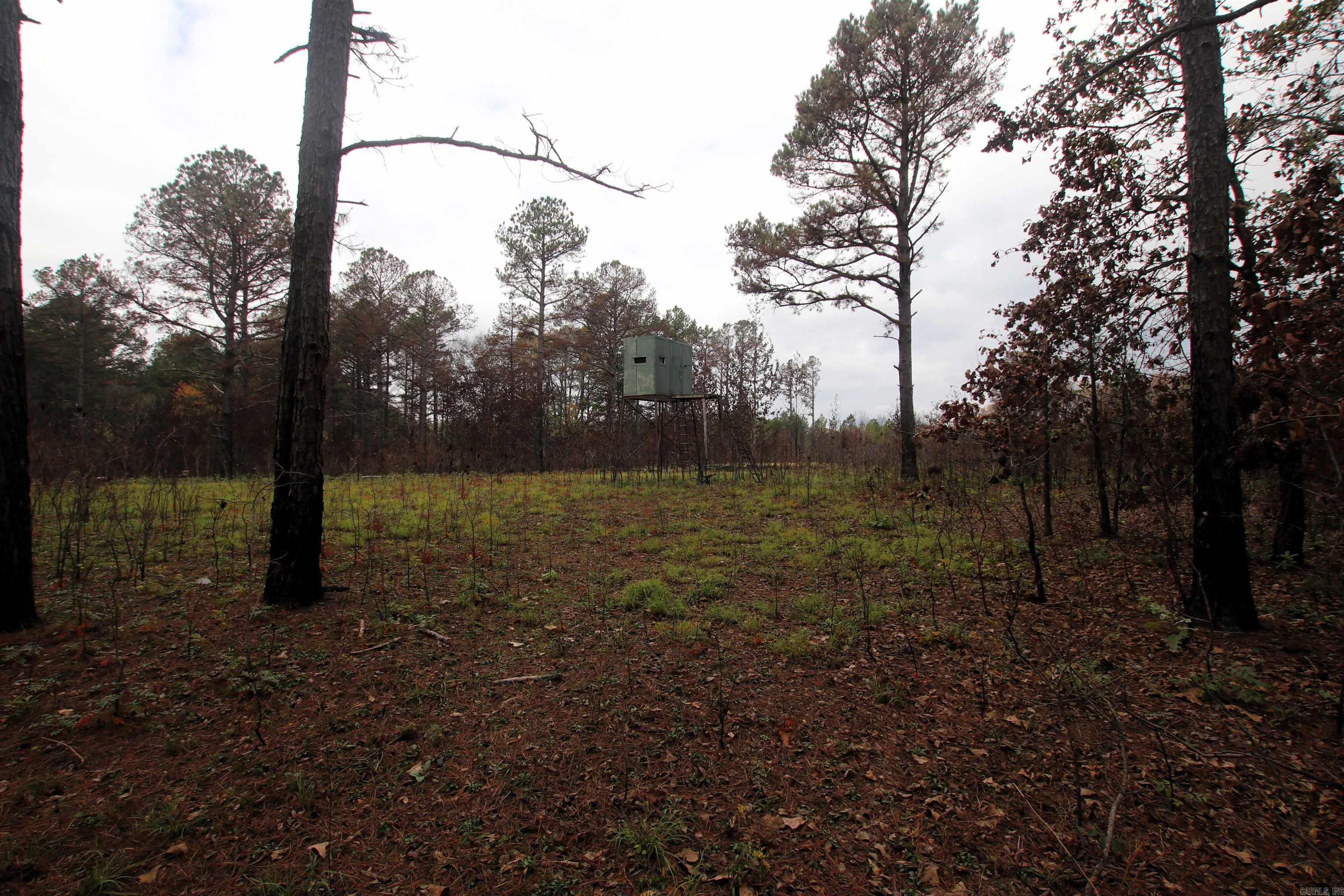 000  Morris Mountain  Center Ridge, AR