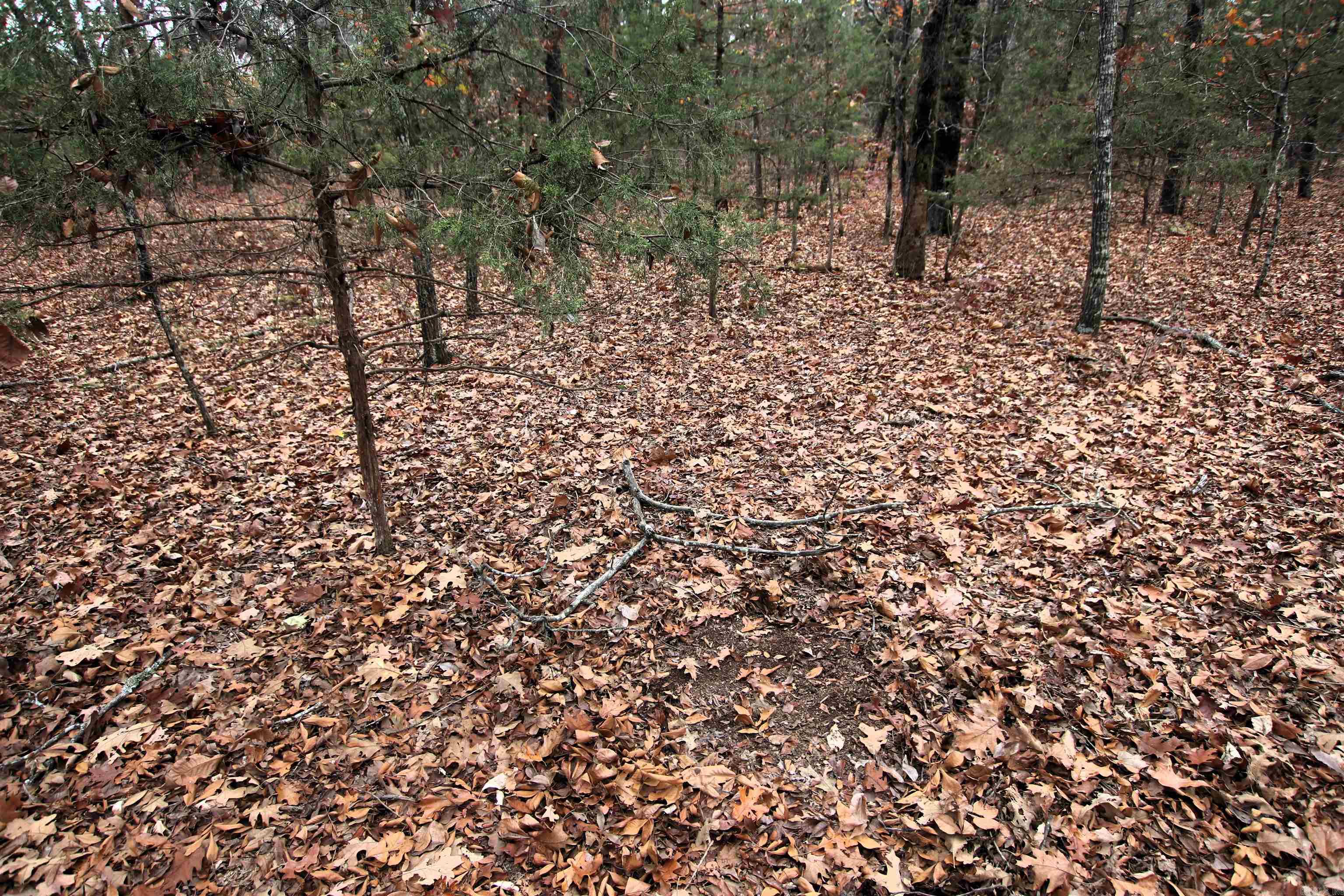 000  Morris Mountain  Center Ridge, AR