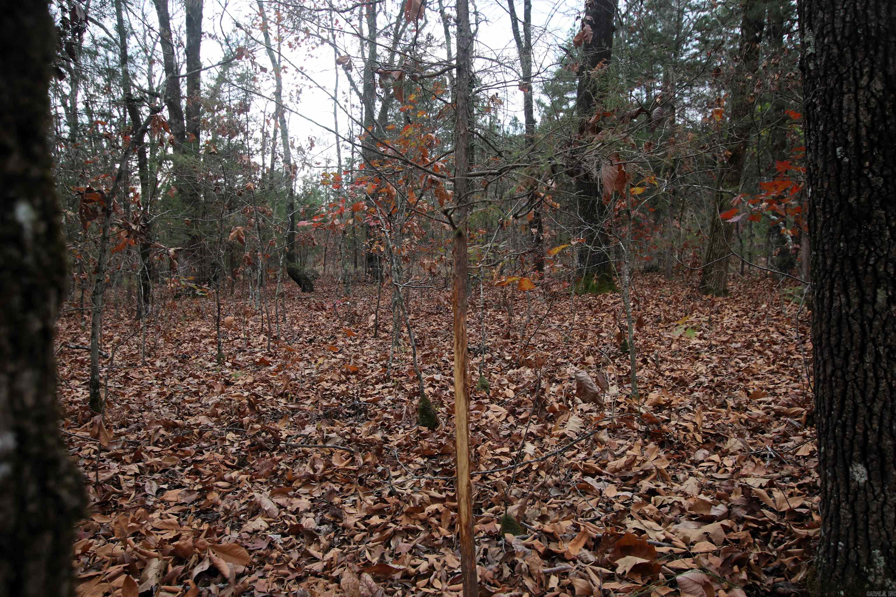 000  Morris Mountain  Center Ridge, AR