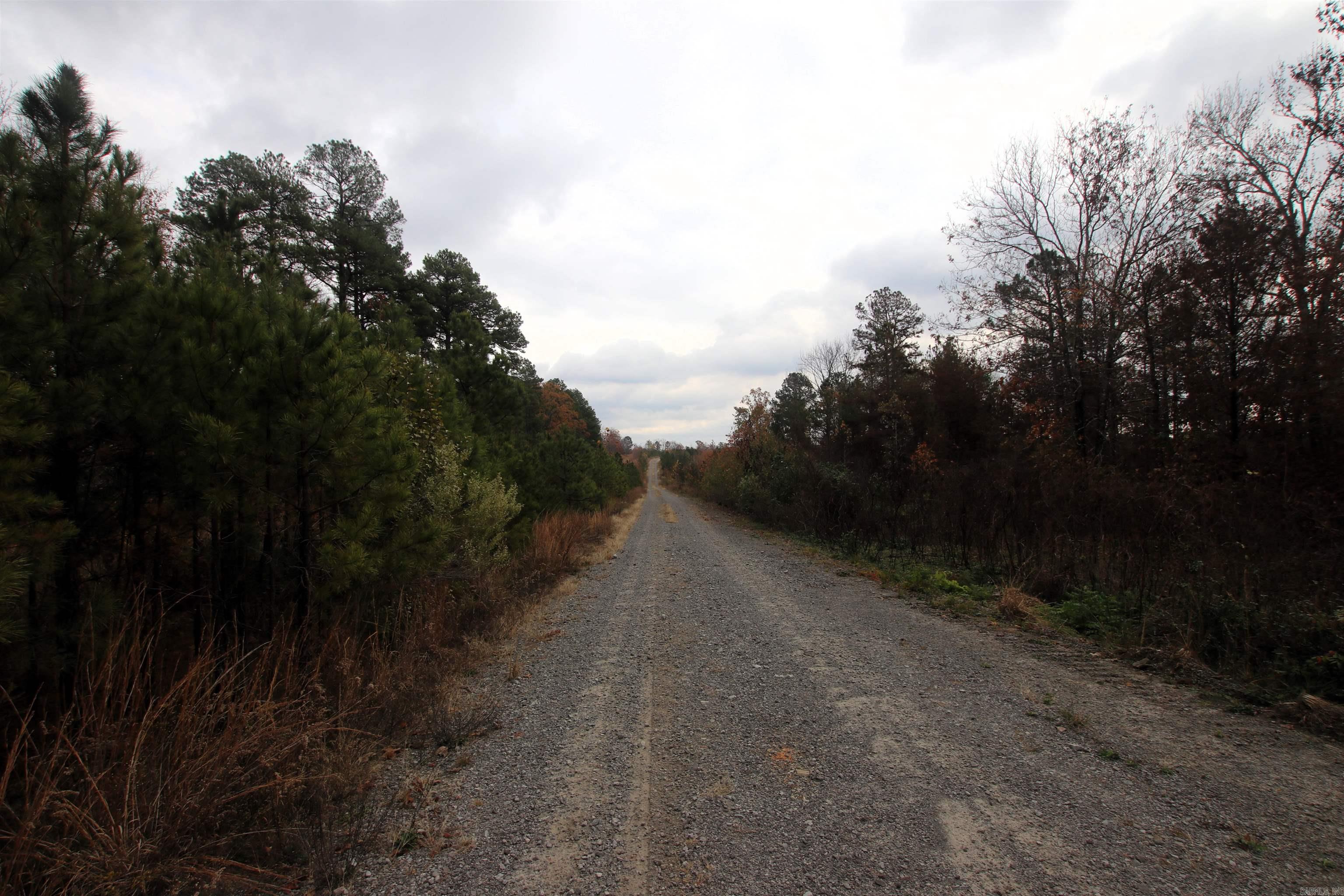 000  Morris Mountain  Center Ridge, AR