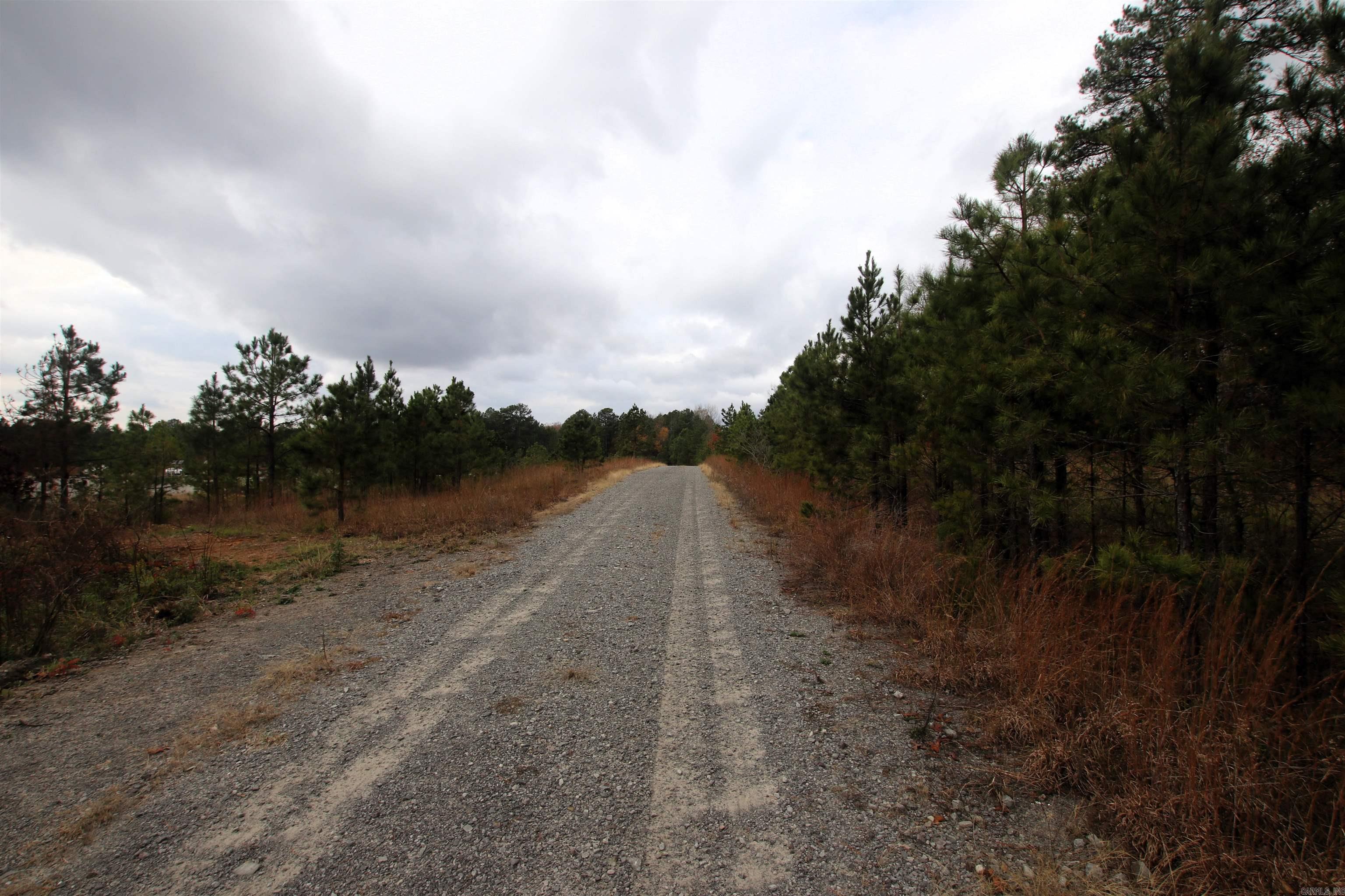 000  Morris Mountain  Center Ridge, AR