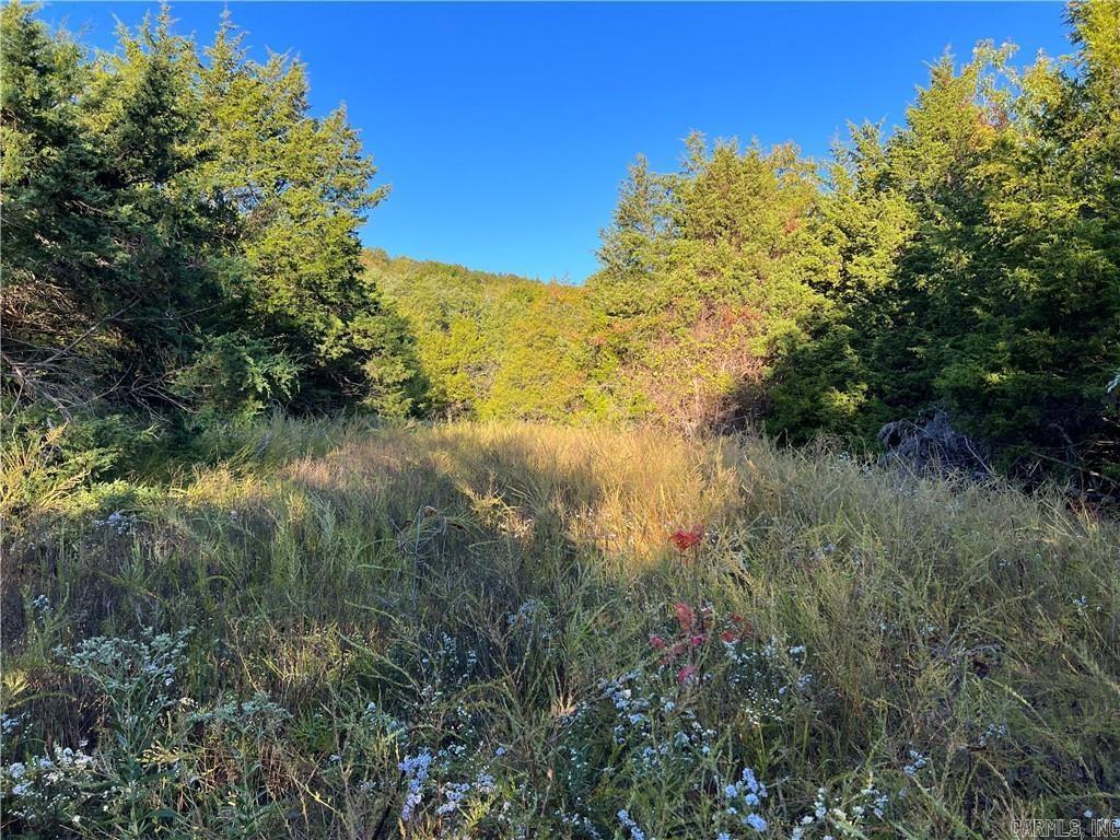 TBD  Saddle Rd  Saint Joe, AR