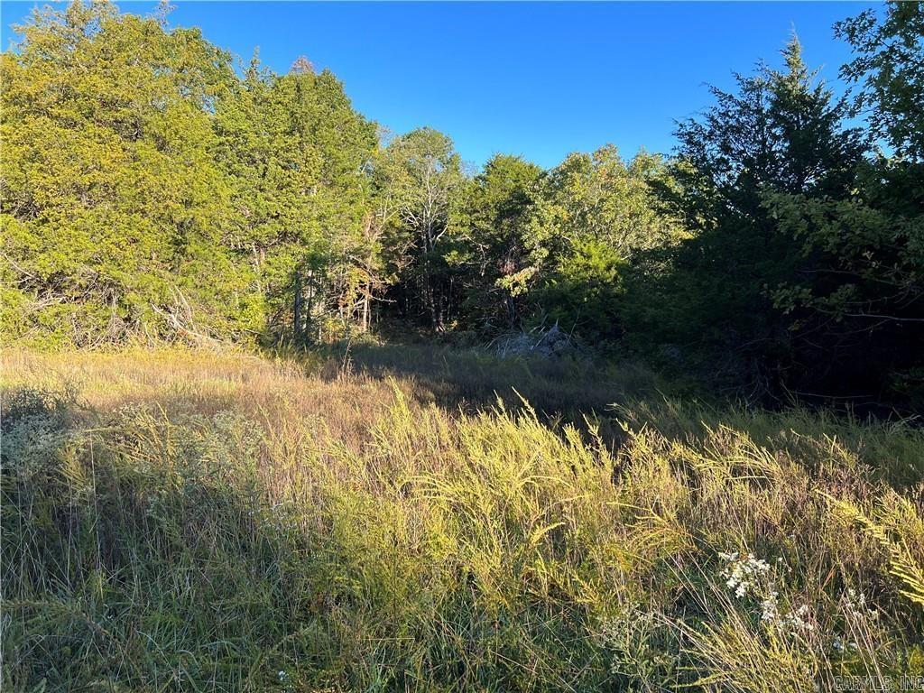 TBD  Saddle Rd  Saint Joe, AR