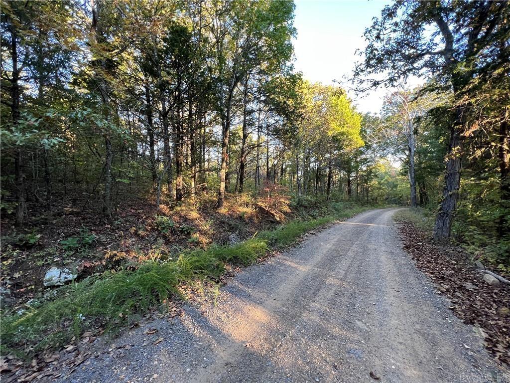 TBD  Saddle Rd  Saint Joe, AR