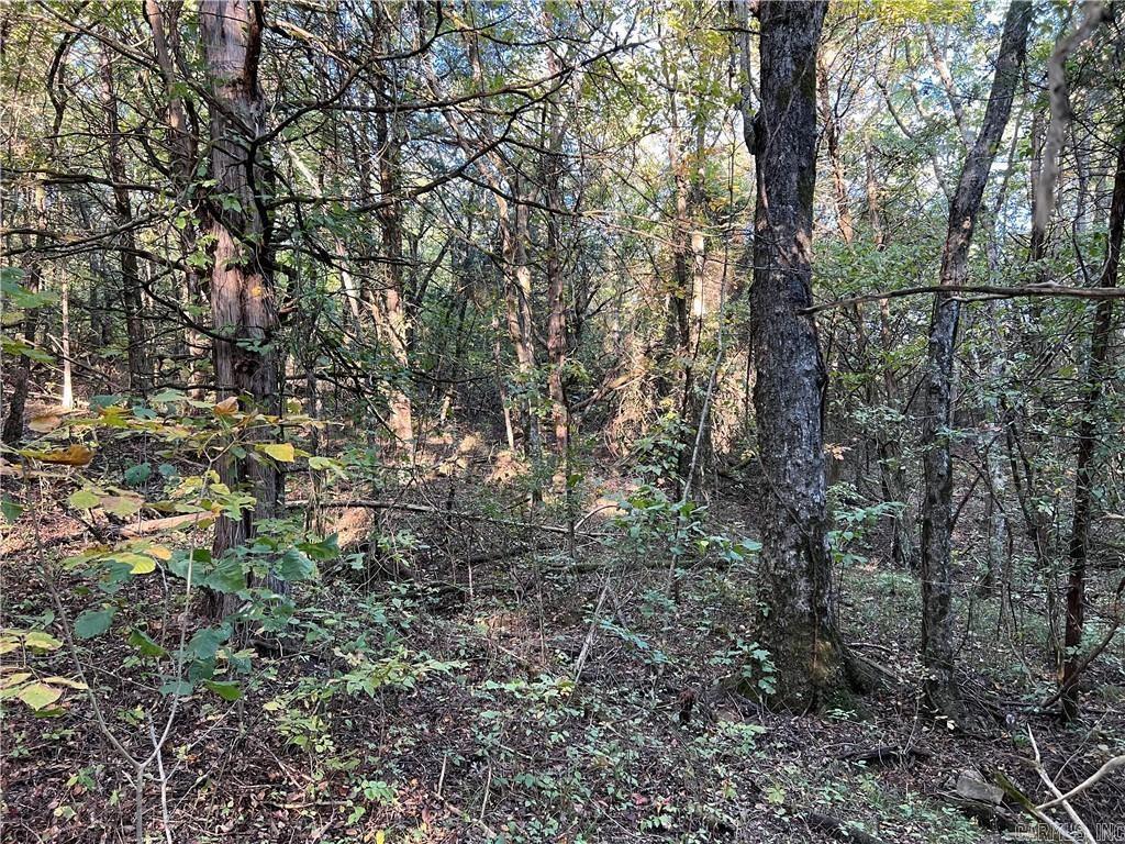 TBD  Saddle Rd  Saint Joe, AR