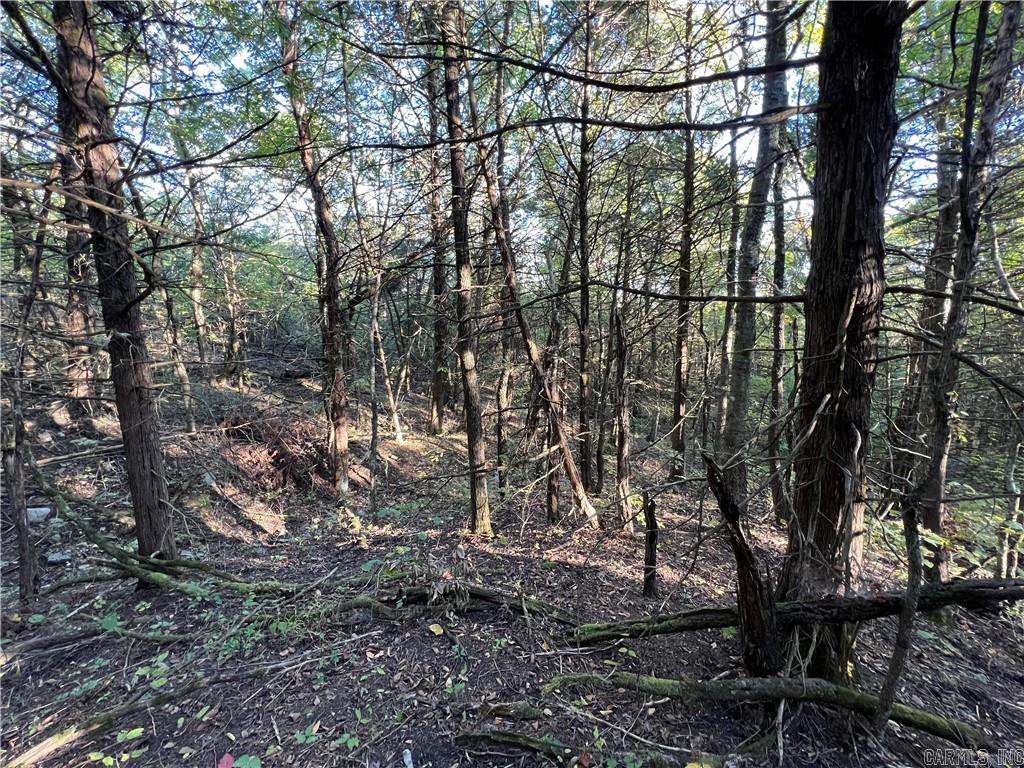 TBD  Saddle Rd  Saint Joe, AR