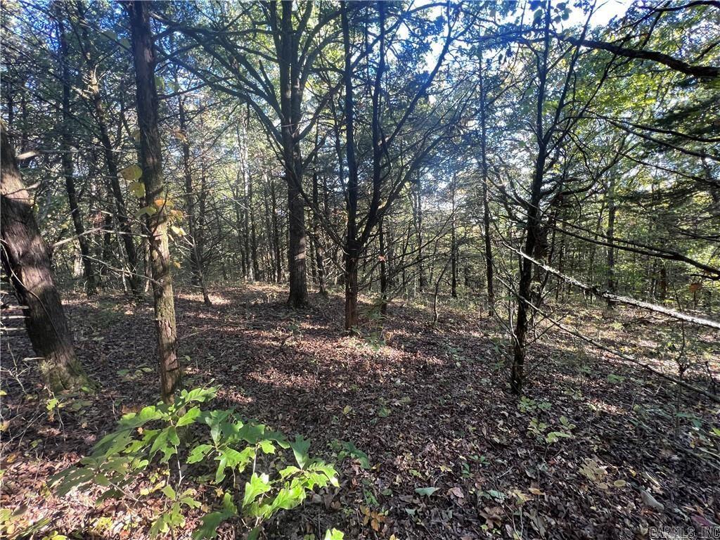 TBD  Saddle Rd  Saint Joe, AR