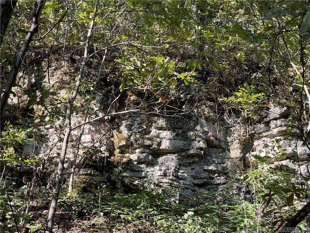 TBD  Saddle Rd  Saint Joe, AR