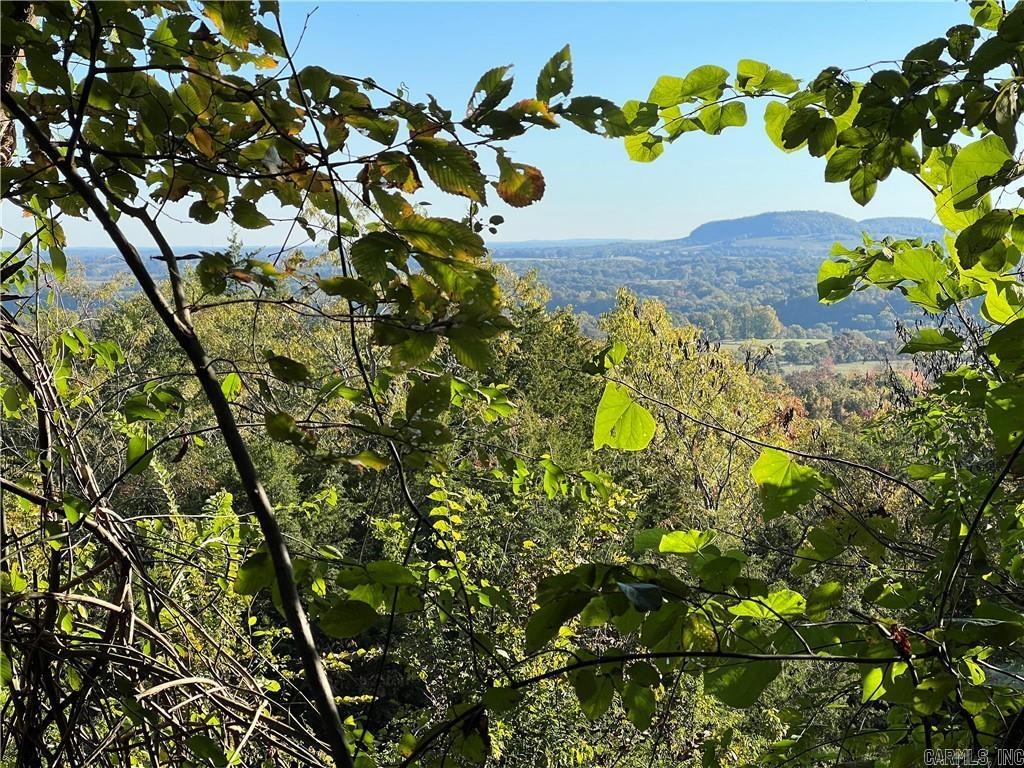 TBD  Saddle Rd  Saint Joe, AR