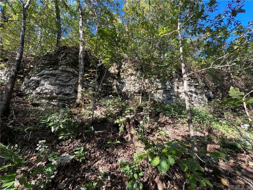 TBD  Saddle Rd  Saint Joe, AR