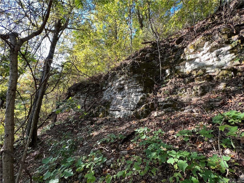 TBD  Saddle Rd  Saint Joe, AR