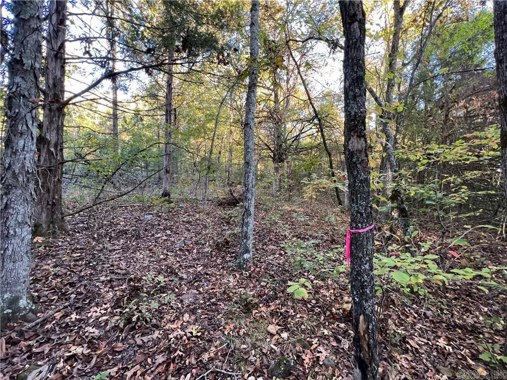 TBD  Saddle Rd  Saint Joe, AR