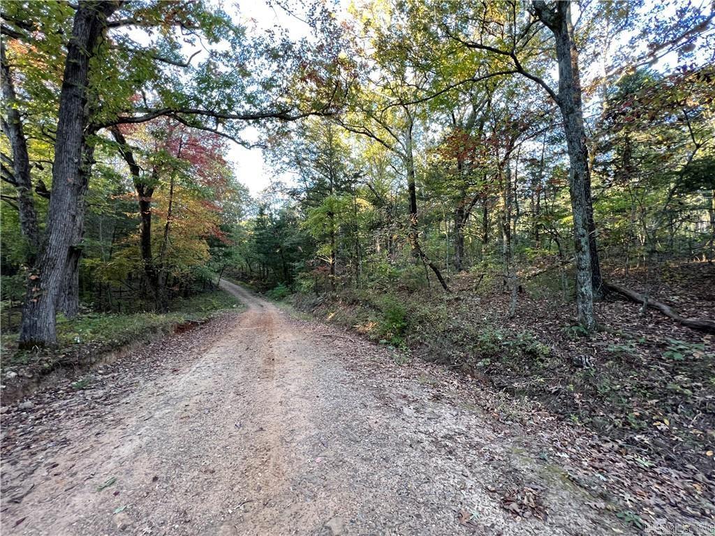 TBD  Saddle Rd  Saint Joe, AR