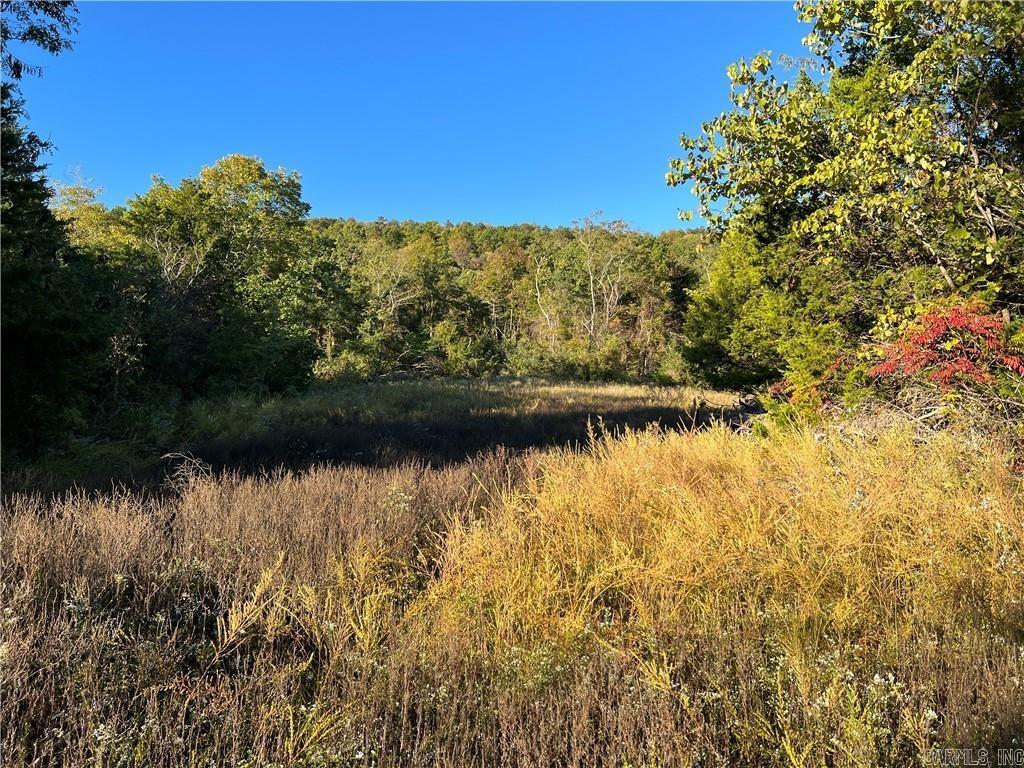 TBD  Saddle Rd  Saint Joe, AR