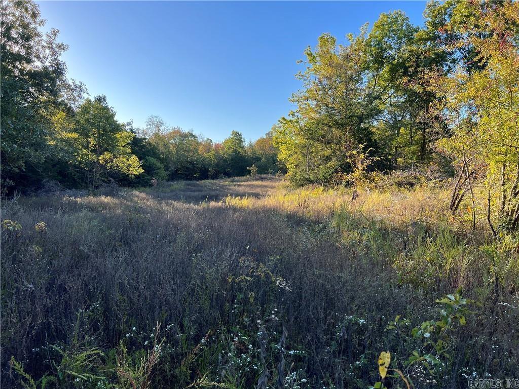 TBD  Saddle Rd  Saint Joe, AR