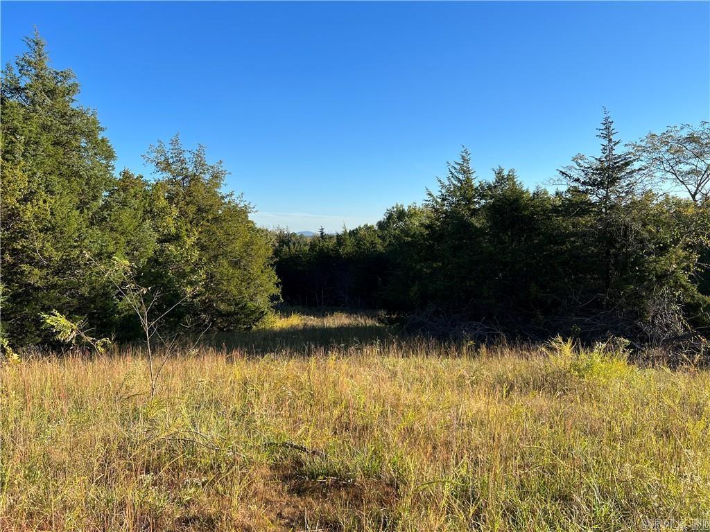 TBD  Saddle Rd  Saint Joe, AR