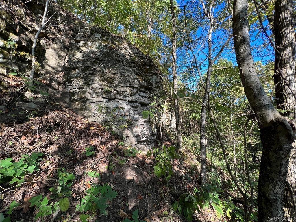 TBD  Saddle Rd  Saint Joe, AR