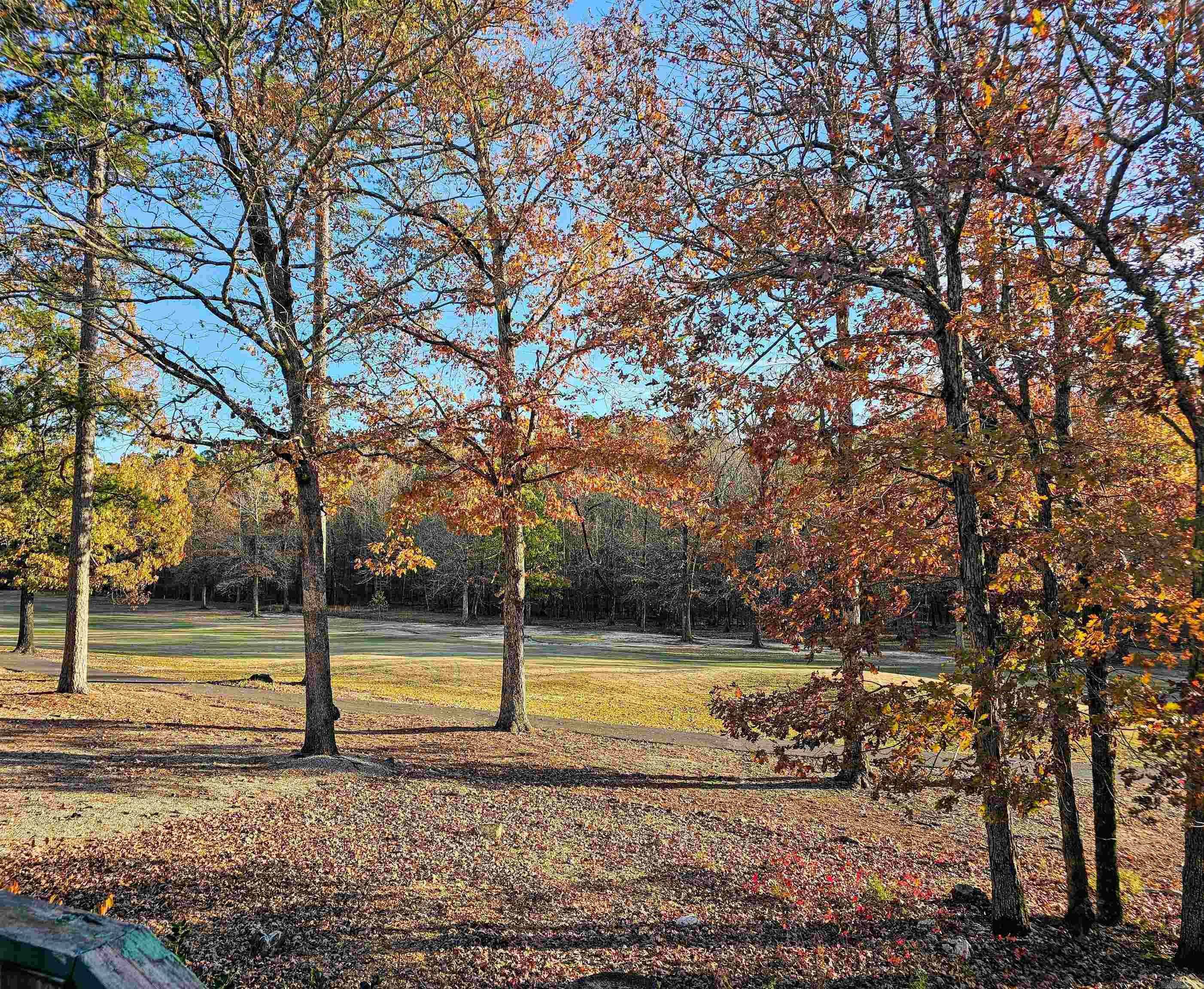 6  Hendaye  Hot Springs Village, AR