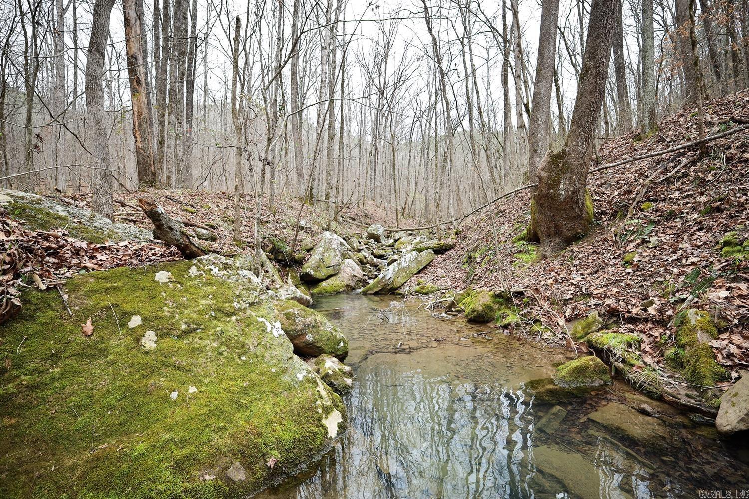 TBD  Angora Mountain  Clinton, AR
