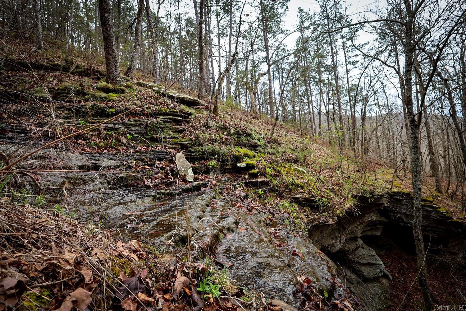 TBD  Angora Mountain  Clinton, AR